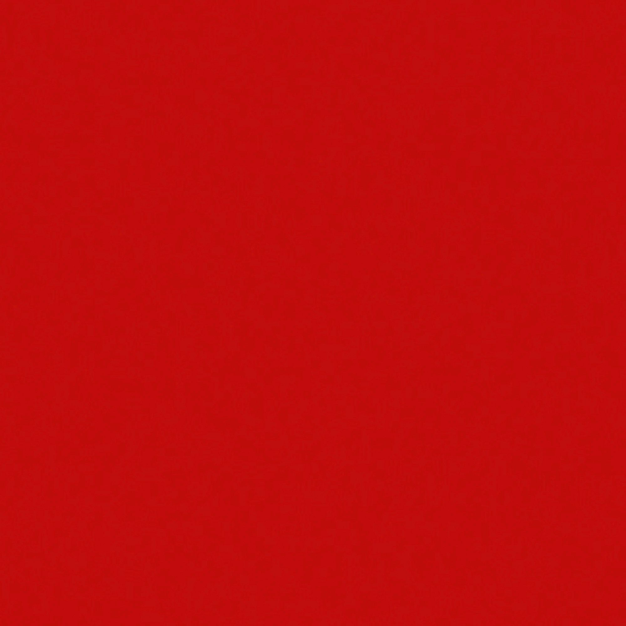 Wetterschutzfarbe Liter, rot 2,5 Profi Consolan  Holzschutz,