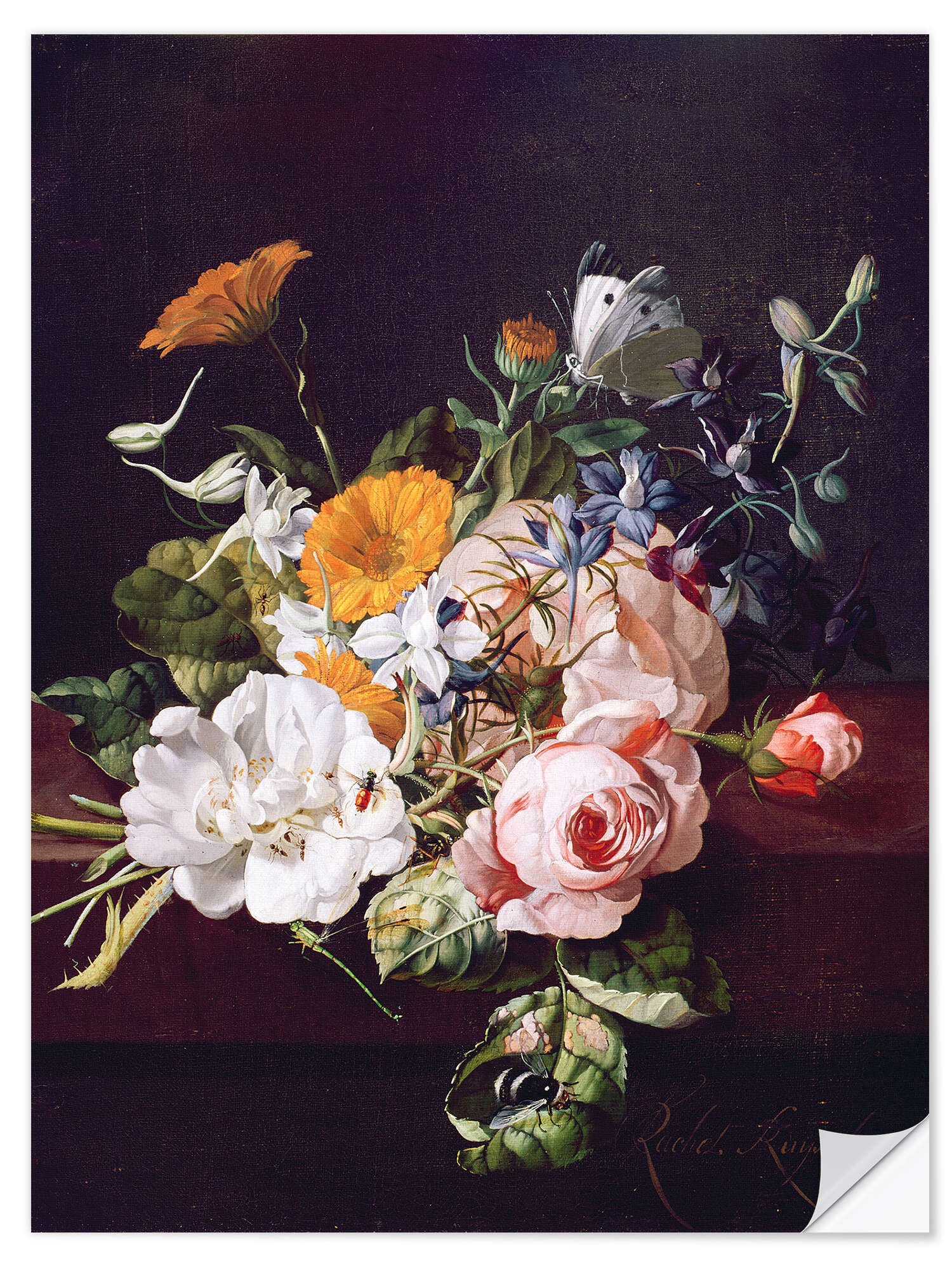 Posterlounge Wandfolie Rachel Ruysch, Vase mit Blumen, Malerei