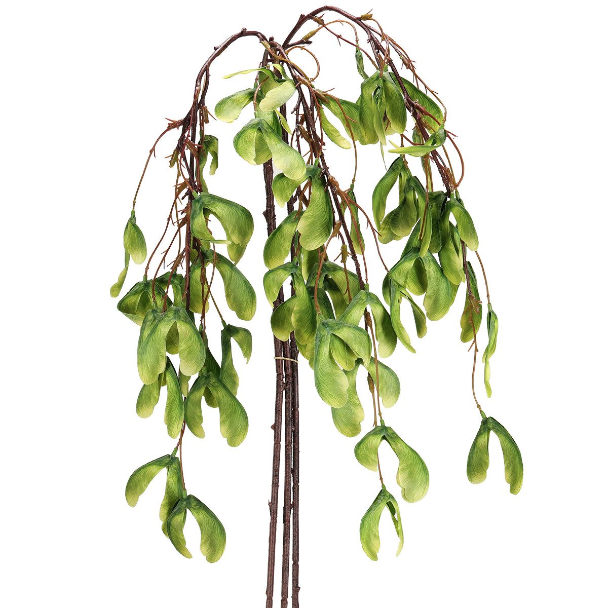 Künstliche Zimmerpflanze Künstlicher Bergahorn-Zweig mit geflügelten Früchten für, 3 Stück, Florists Products, Höhe 1 cm