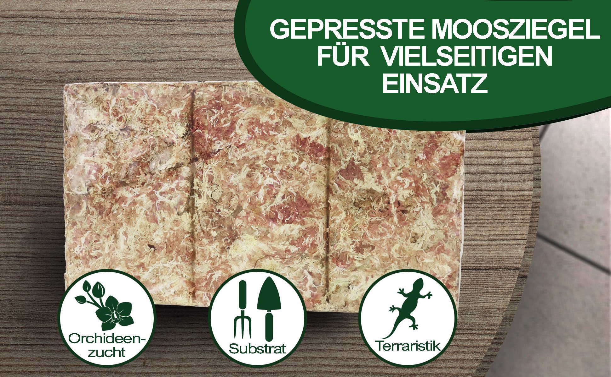 sphagnum-shop.com Terrarien-Substrat Sphagnum Moos Moosziegel aus Chile für Terrarium und Orchideen, Chilenische Premium-Qualität, Ideal für Pflanzenpflege & Te – Bild 4 von 5