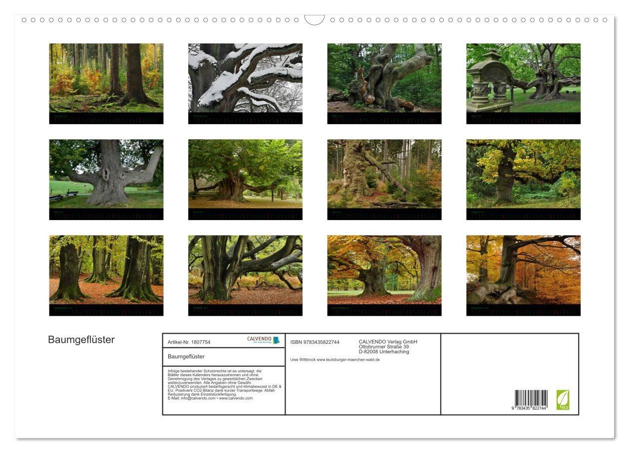 Thumbnail - CALVENDO Wandkalender Baumgeflüster (Wandkalender 2025 DIN A2 quer), CALVENDO Monatskalender