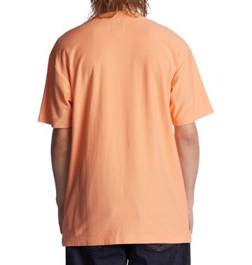 DC Shoes T-Shirt Raddled Crew