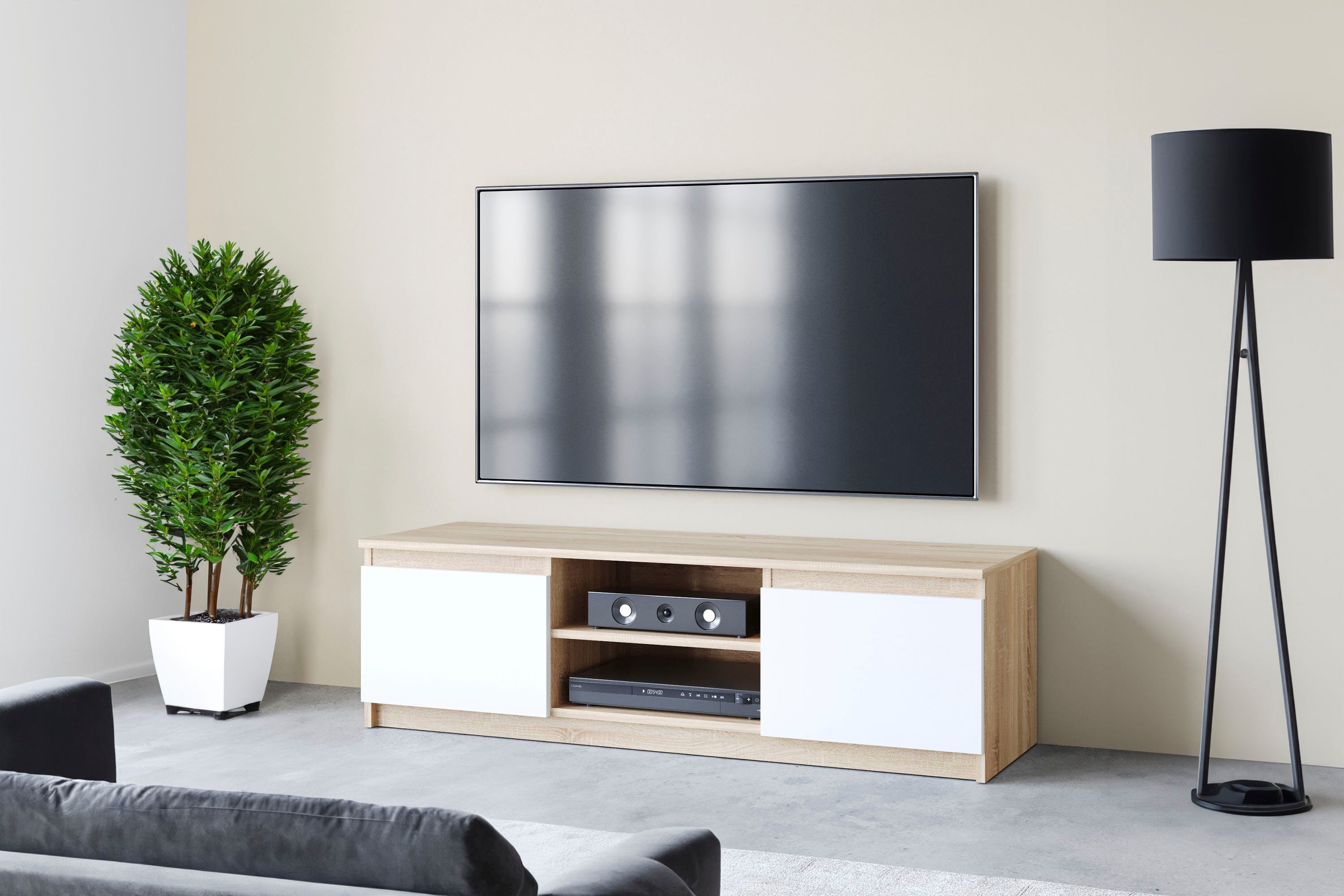 INOSIGN Lowboard DINGO, zeitloser TV-Schrank, TV-Board Breite 120 cm, grifflose Fernsehschrank