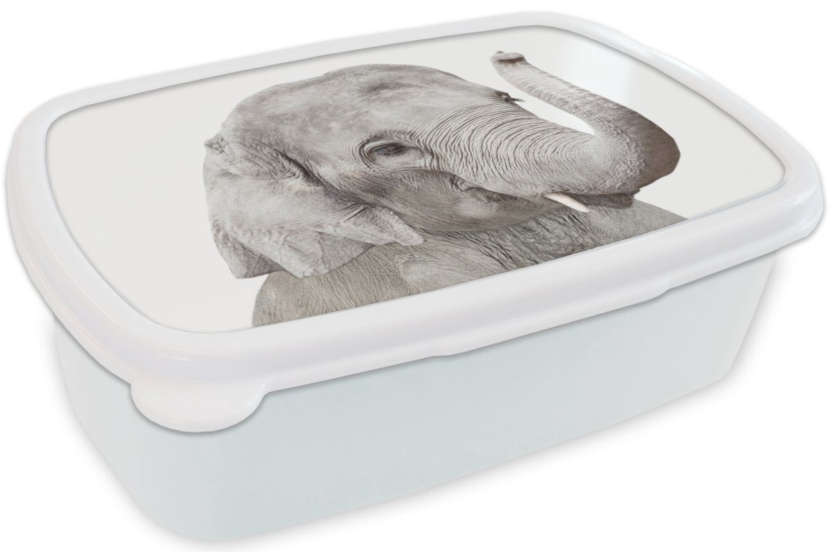 MuchoWow Lunchbox Elefant Tiere und Kunststoff, (2-tlg), Erwachsene, - Grau Kinder - weiß Natur, für für Mädchen Brotdose, Brotbox und Jungs 