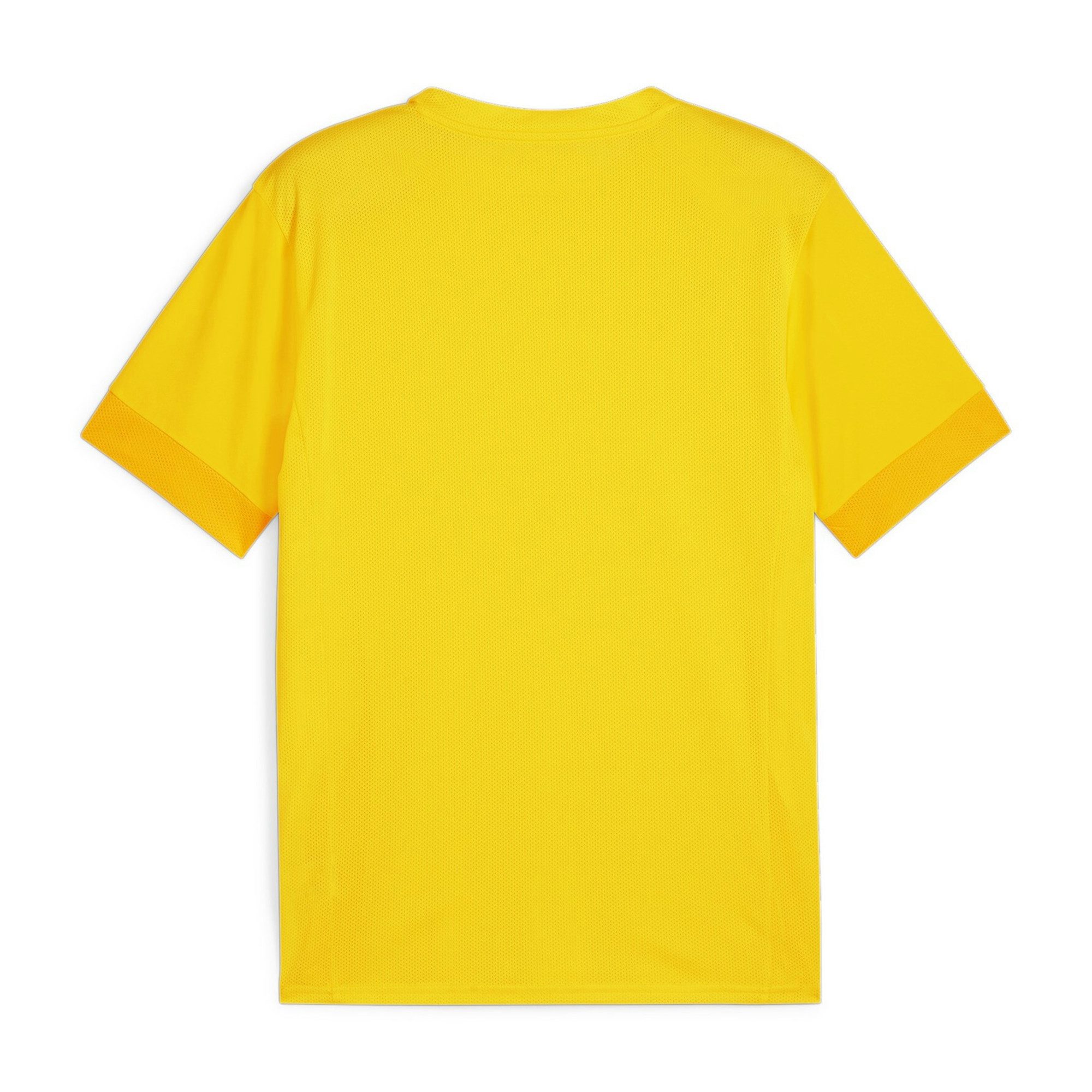 PUMA Fußballtrikot Puma Herren Trikot teamGOAL Matchday Jersey 705747