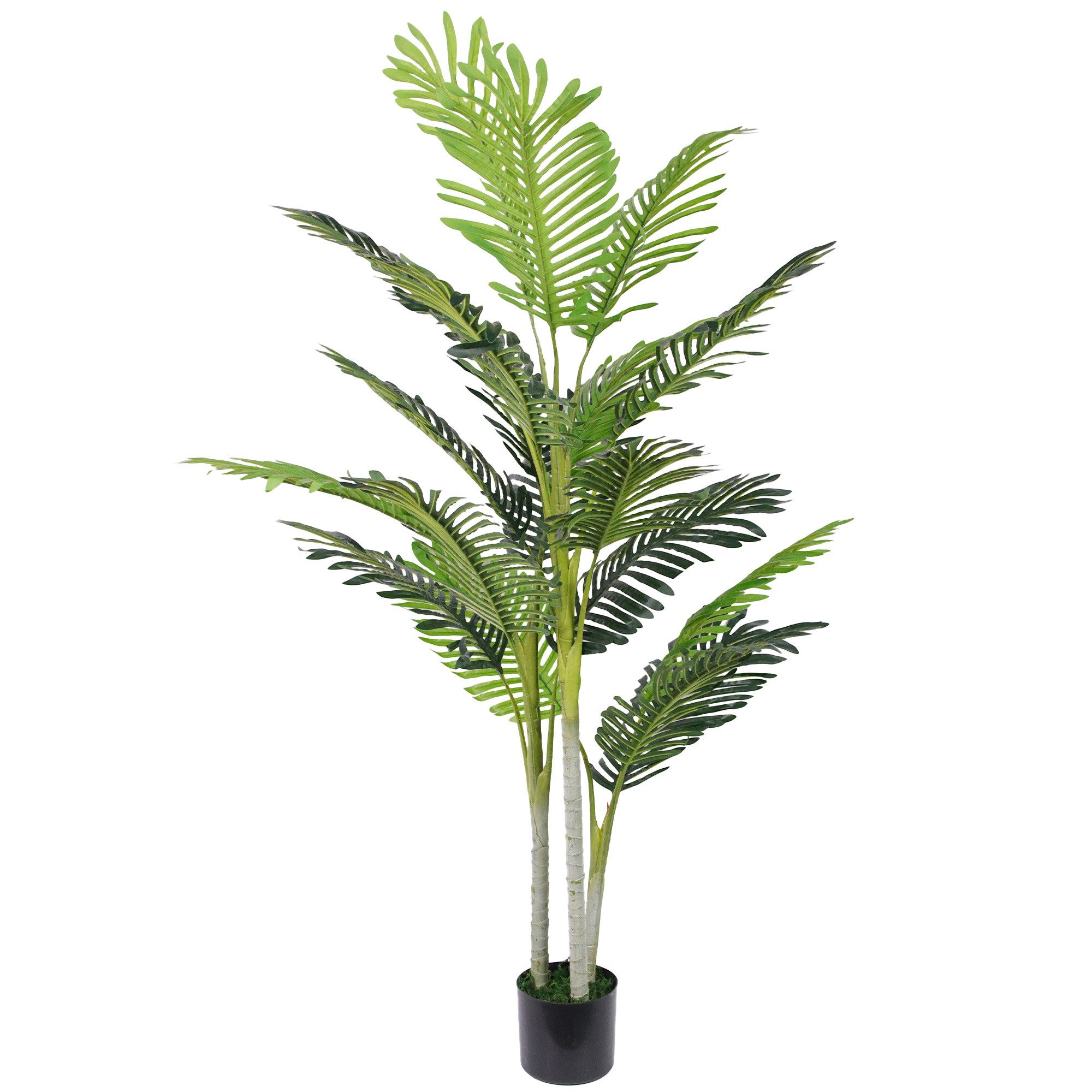 Kunstpflanze Künstliche Palme Groß mit Pflanztopf Palmen, Outsunny, Höhe 150 cm, Grün 18 x 18 x 150 cm. Reduzierter Preis € 38,90. Unverbindliche Preisempfehlung € 97,90