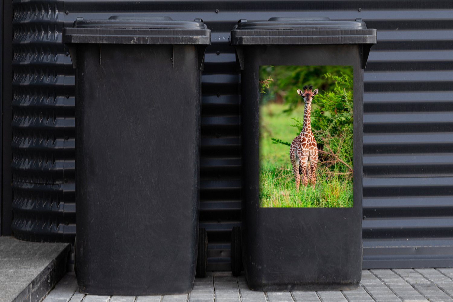 Wandsticker Mülleimer-aufkleber, Giraffe Container, MuchoWow - - St), Pflanzen Mülltonne, Abfalbehälter Baby (1 Sticker,