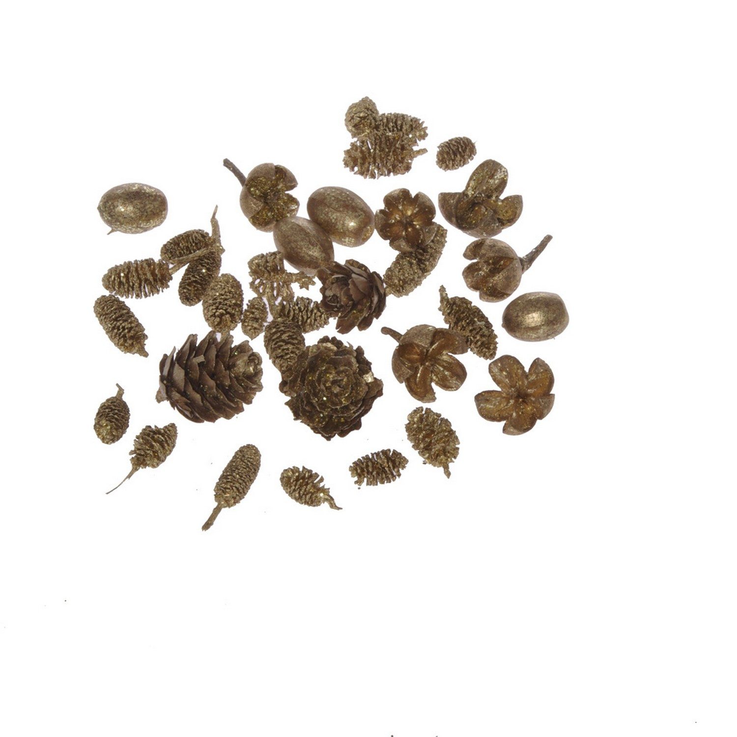 Deko AS Bastelnaturmaterial Zapfen Mischung mit Goldflitter – 3 x 20g - A113