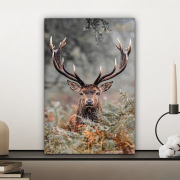 OneMillionCanvasses® Leinwandbild Hirsche - Natur - Herbst - Waldtiere, (1 St), Leinwandbild fertig bespannt inkl. Zackenaufhänger, Gemälde, 20x30 cm