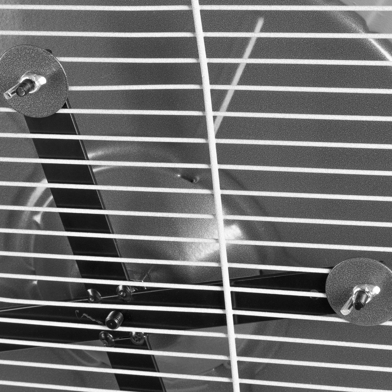 Wallace & Jones Tierlaufrad Laufrad aus Metall für Degus & Chinchillas, Metalllaufrad extra groß mit Ø 38cm