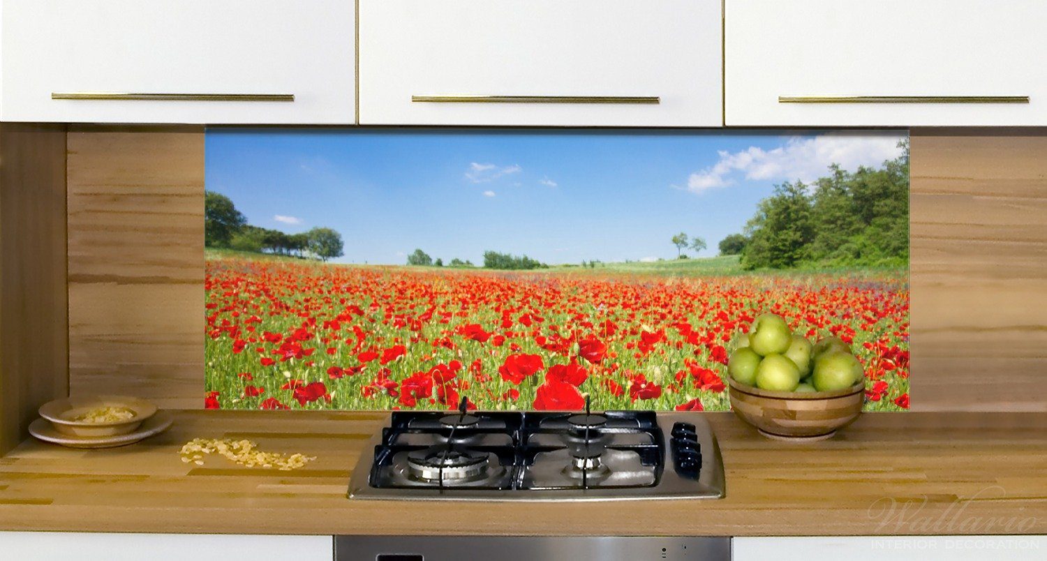 Küchenrückwand Himmel, rote Blumen unter blauem (1-tlg) Mohnblumenfeld- Wallario