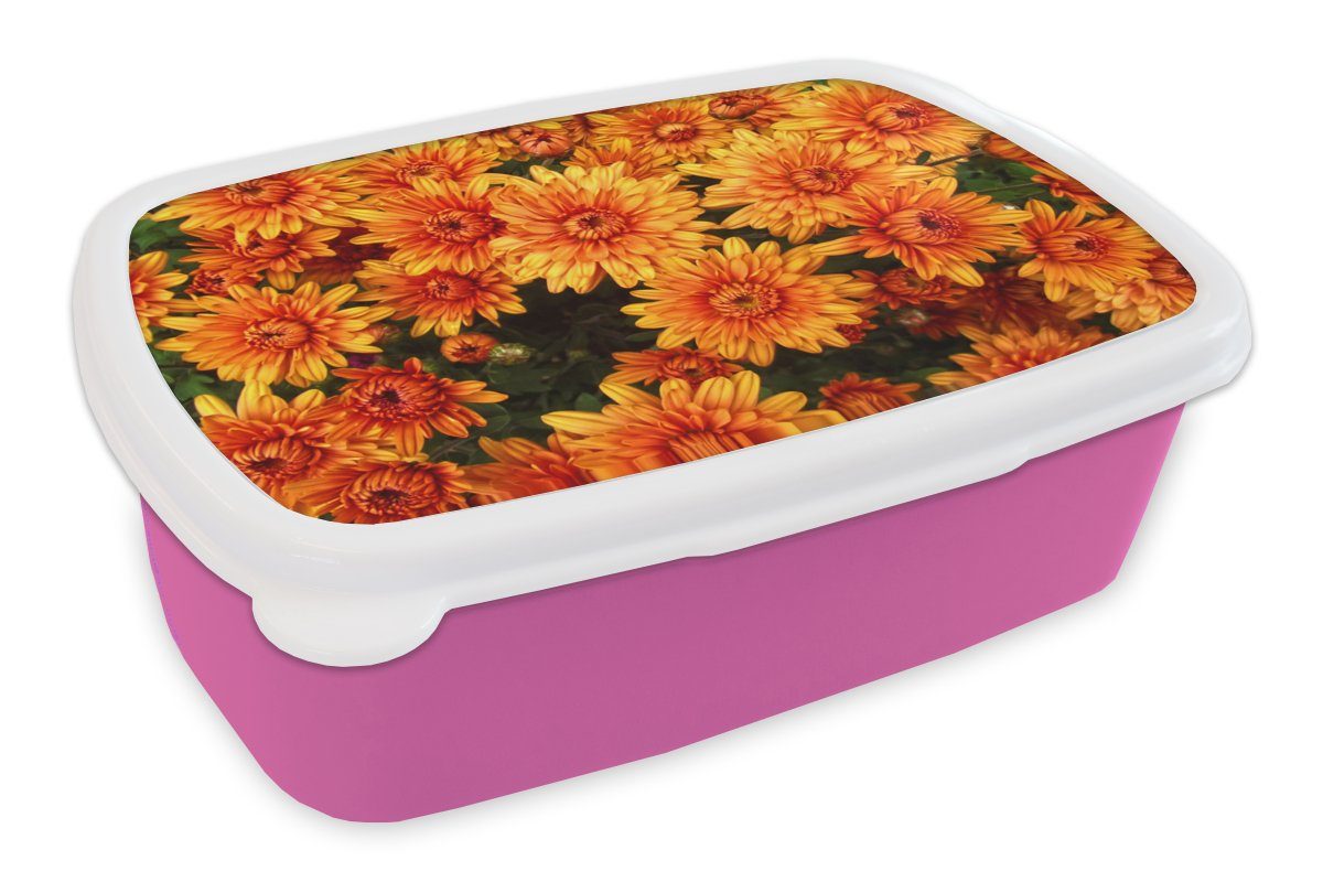 Kinder, für Brotbox Orange (2-tlg), Erwachsene, - rosa Mädchen, Kunststoff Brotdose Kunststoff, - Lunchbox Chrysantheme, MuchoWow Blumen Snackbox,