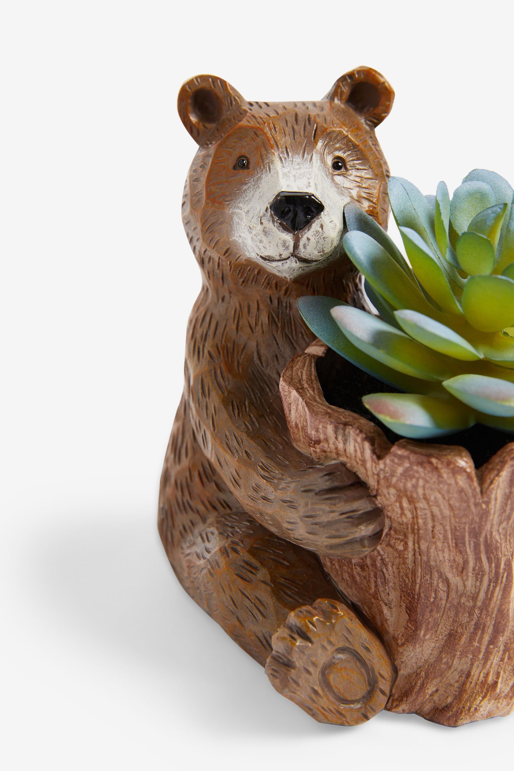 Bertie Sukkulente, Zimmerpflanze Next Bear Künstliche Künstliche