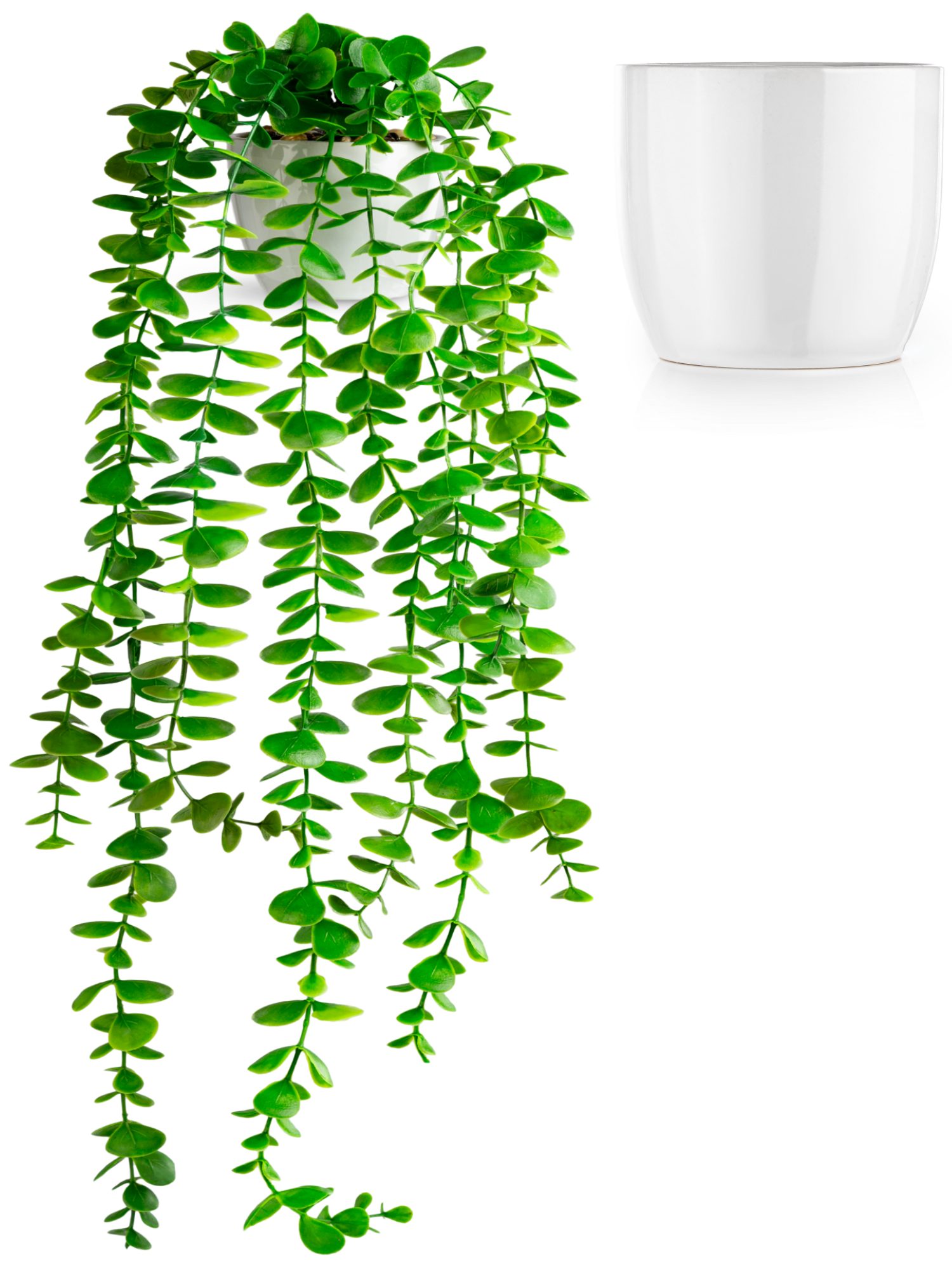 Kunstpflanze Künstliche hängepflanzen im Keramiktopf, Kunstpflanze hängend Efeu, Eukalyptus, Monstera, Zebrapflanze, PASCH