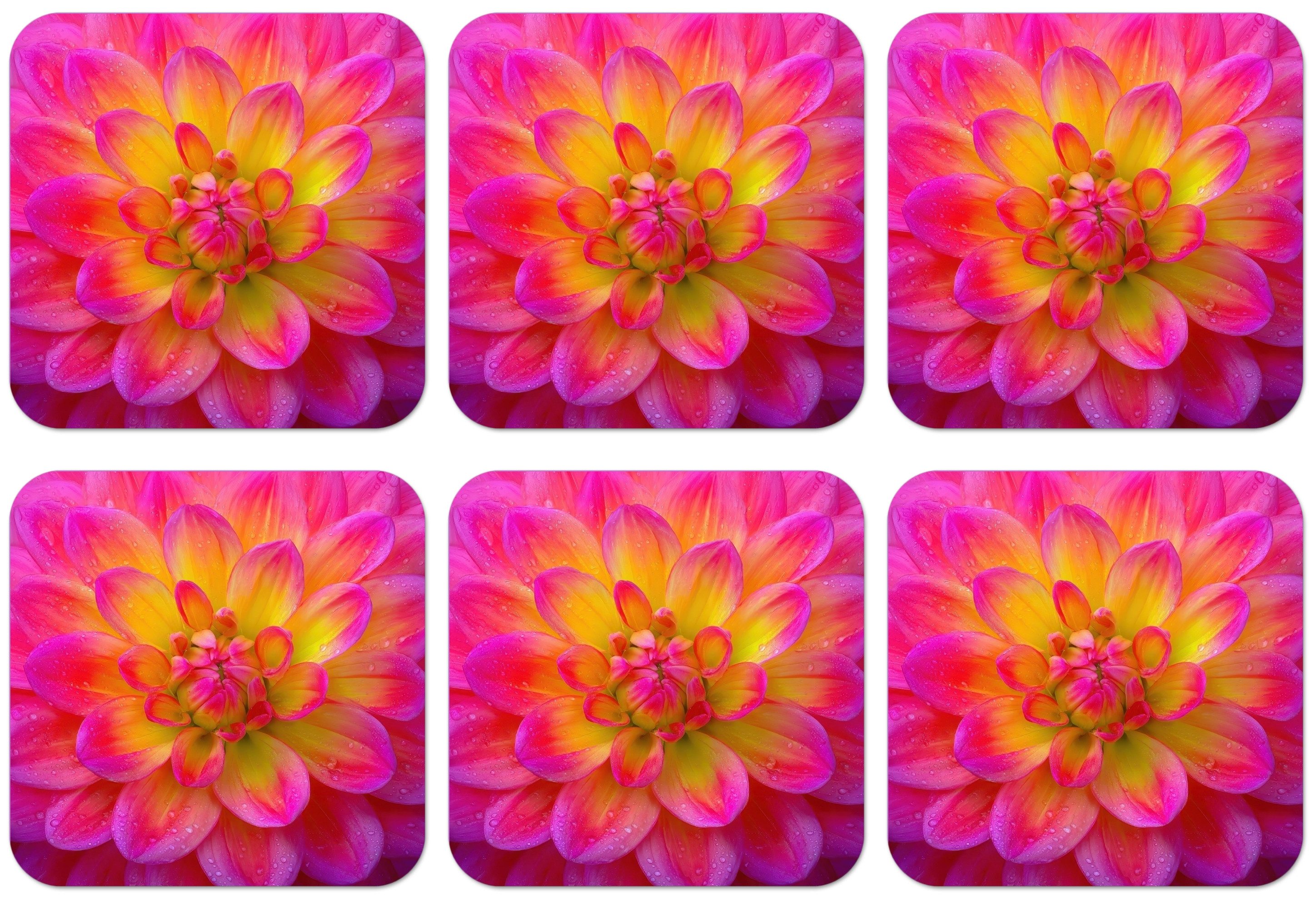 MuchoWow Glasuntersetzer Rosa - Dahlie - Farbenfroh, Zubehör für Gläser, 6-tlg., Tassenuntersetzer Kork, Quadrat, Untersetzer Set Gläser, 10x10 cm