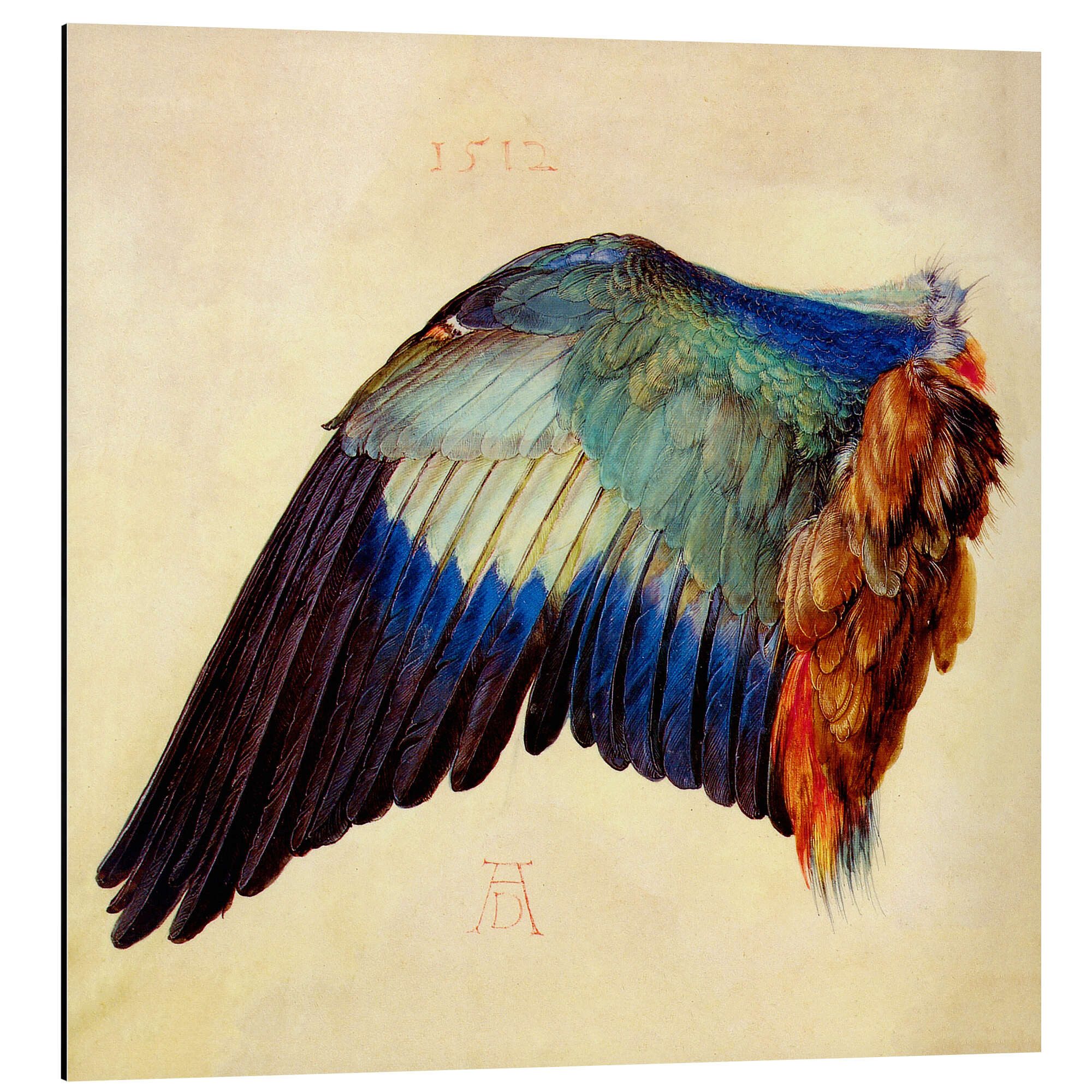 Alu-Dibond-Druck Albrecht Dürer