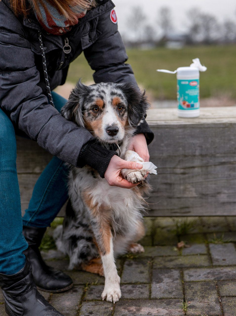 Nobby Hundehandtuch Nobby Universal Reinigungstuch 70 Tücher je