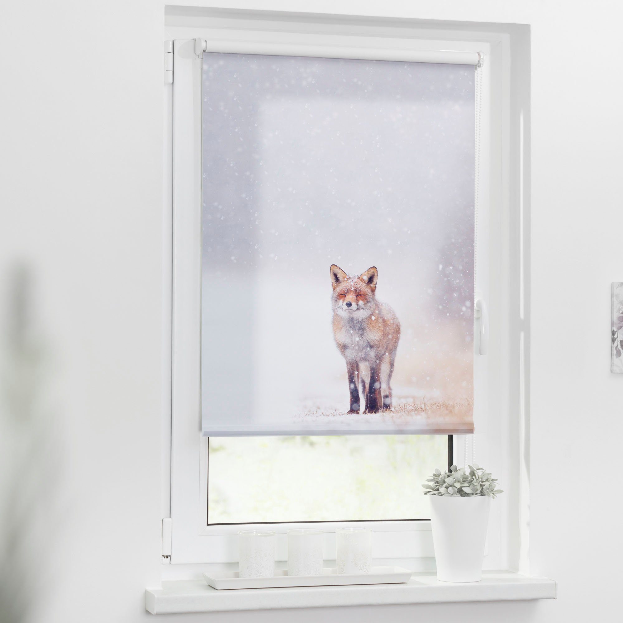 Seitenzugrollo Klemmfix Motiv Fuchs im Schnee, günstig online kaufen