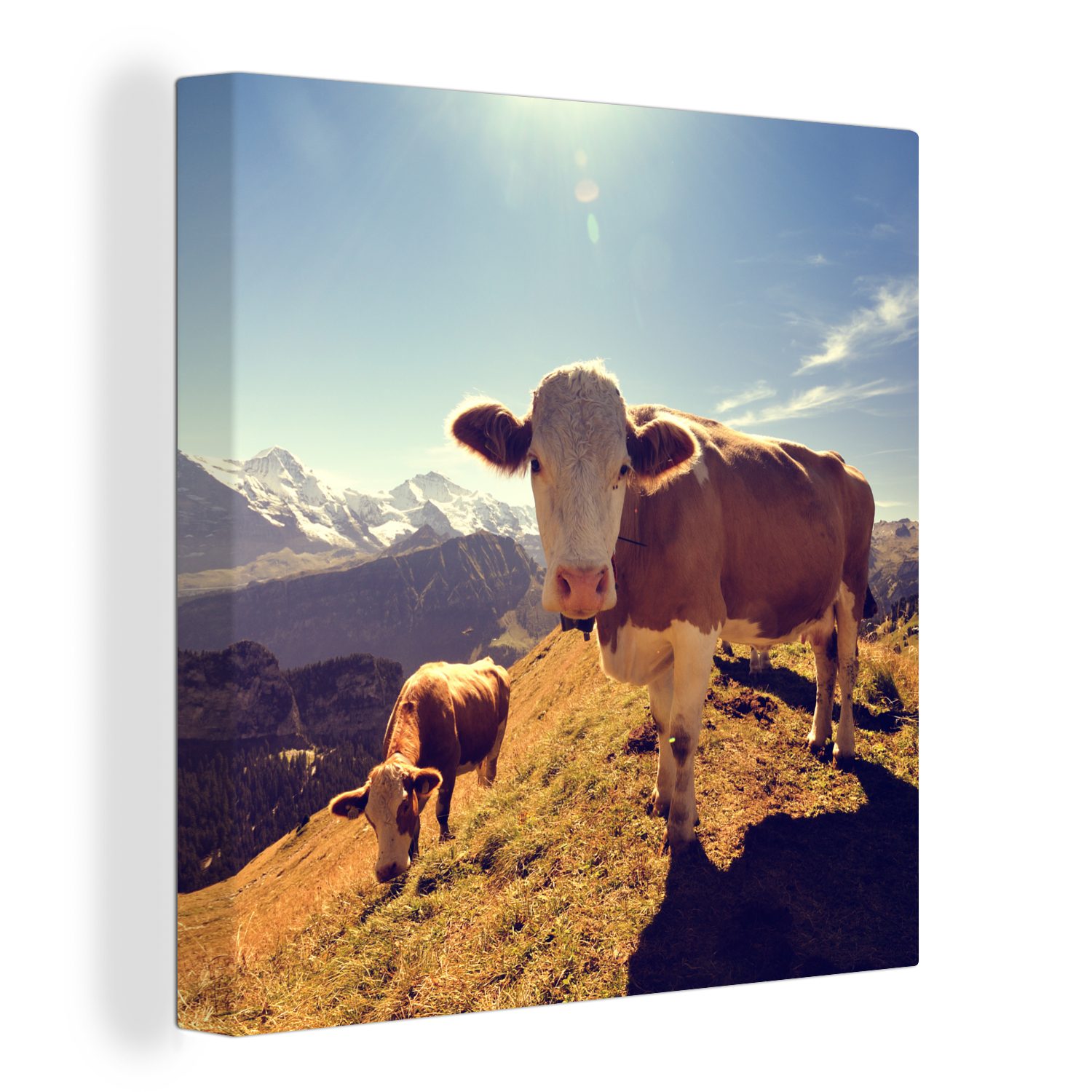 OneMillionCanvasses® Leinwandbild Kühe - Licht - Alpen, (1 St), Leinwand Bilder für Wohnzimmer Schlafzimmer