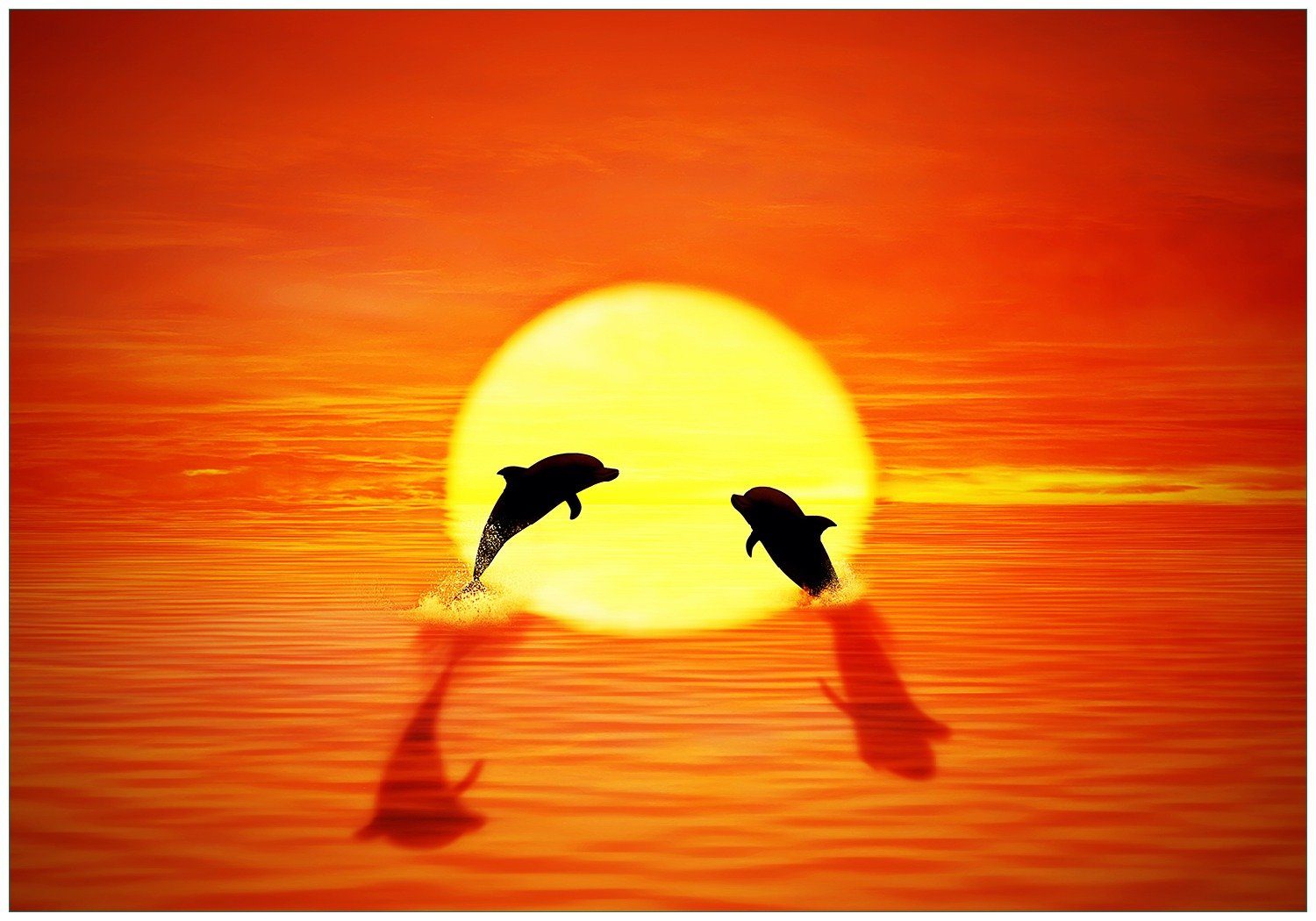 Wallario Vliestapete Delphine im Sonnenuntergang, Seidenmatte Oberfläche, hochwertiger Digitaldruck, in verschiedenen Größen erhältlich