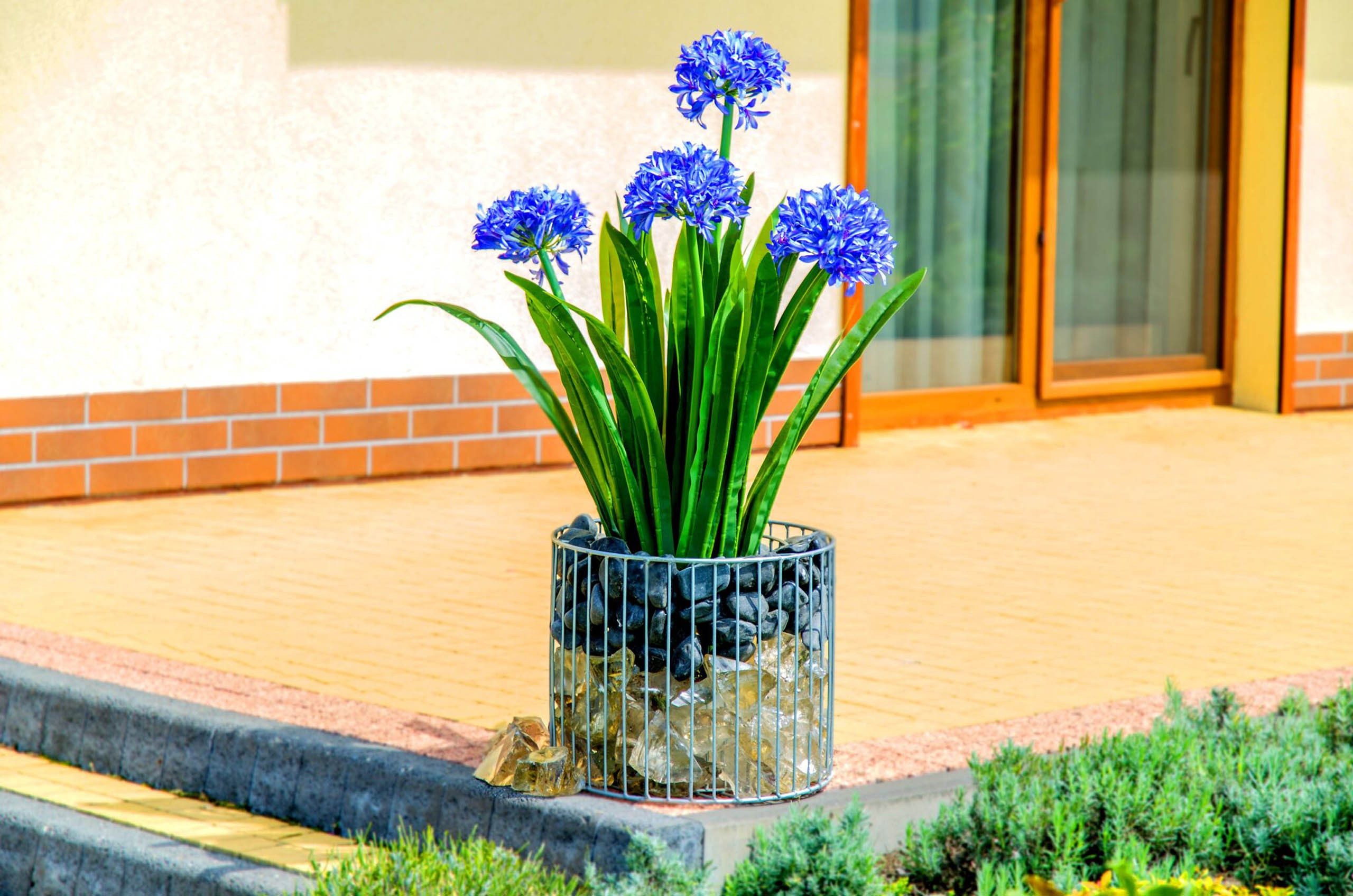 Sarcia.eu Blumentopf Gabionen/Stahl Blumentopf Walze AMBER