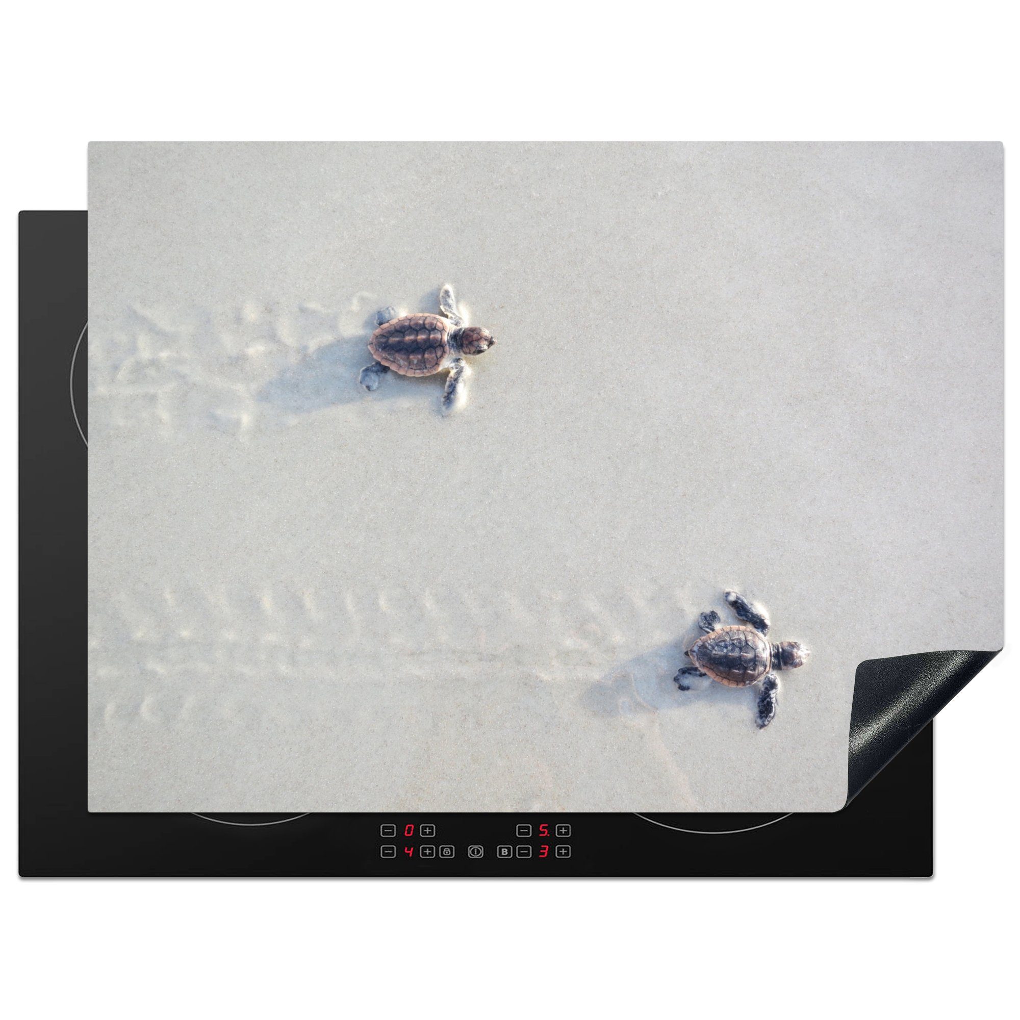 MuchoWow Herdblende-/Abdeckplatte Zwei kleine Schildkröten, Vinyl, (1 tlg), 70x52 cm, Mobile Arbeitsfläche nutzbar, Ceranfeldabdeckung