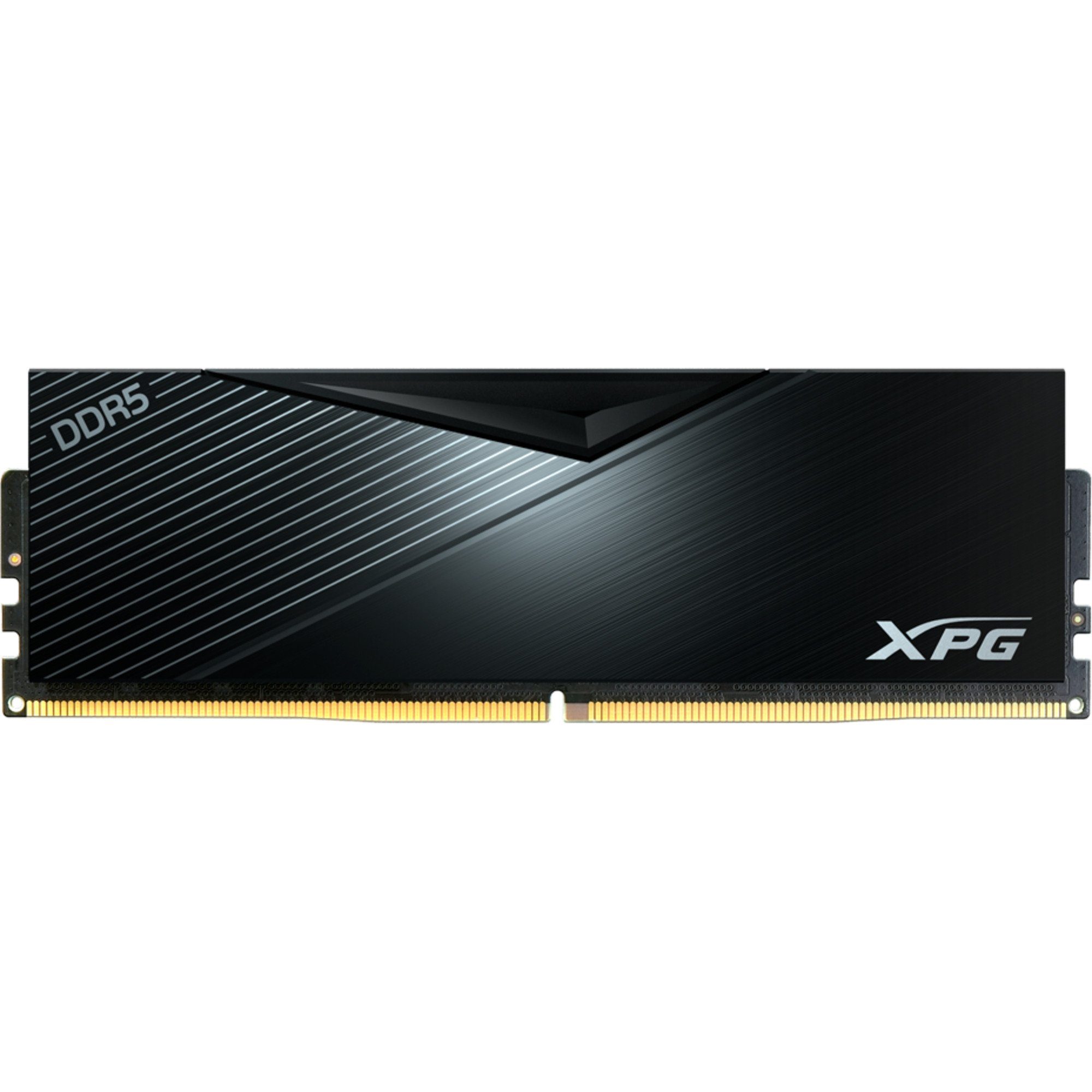 ADATA DIMM 32 GB DDR5-6000, Arbeitsspeicher Arbeitsspeicher