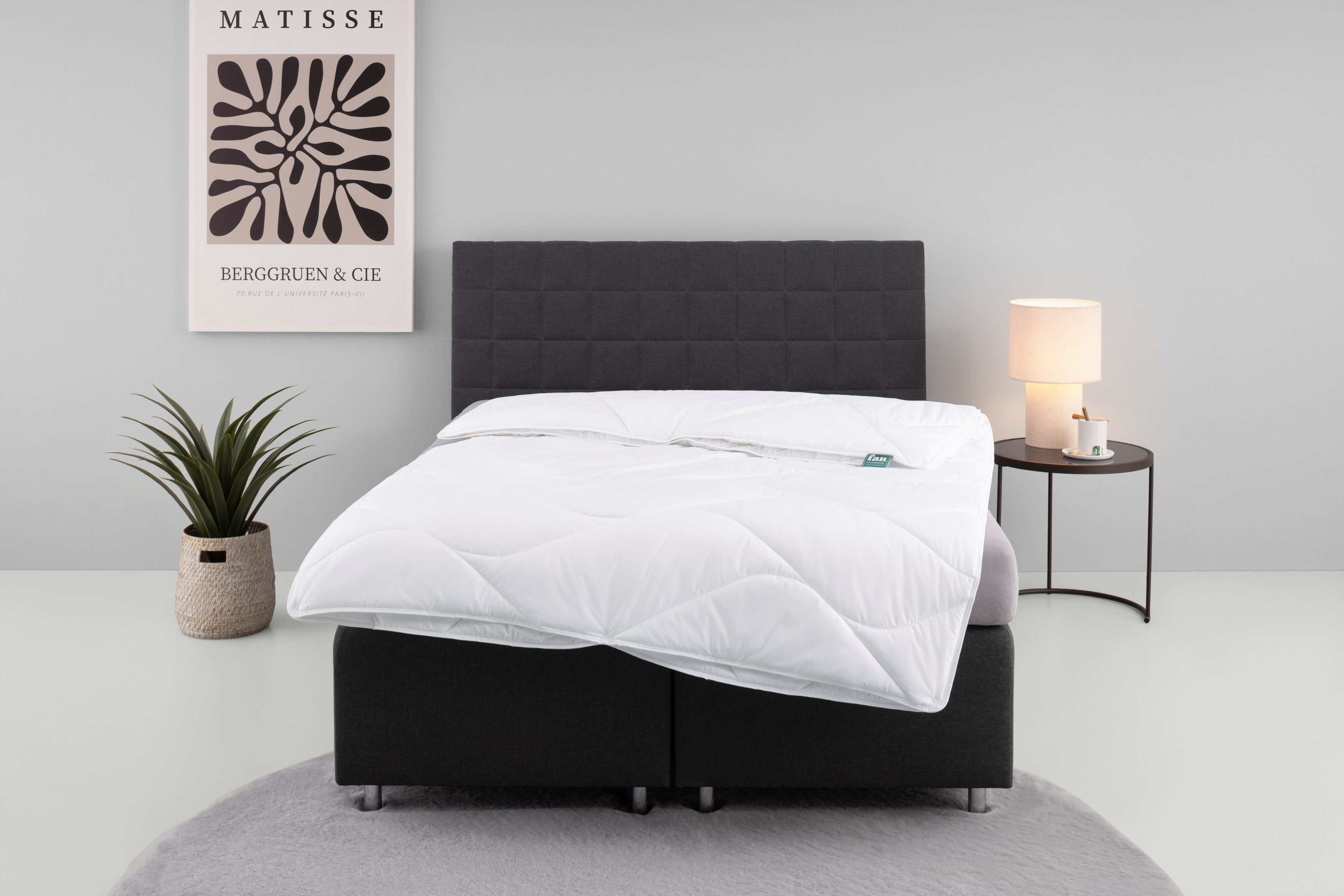 fan Microfaserbettdecke Microfaser kochfest, Bettdecken für Sommer und Winter, Decke, Füllung: 100% Polyester, Bezug: 100% Polyester, Bettdecke 135x200 cm, 155x220 cm und weitere Größen, Made in Germany