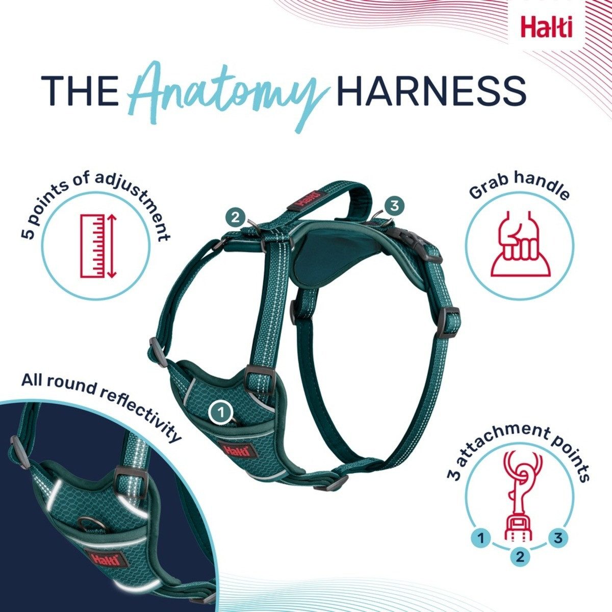 Company of Animals Hunde-Geschirr Hundegeschirr Anatomy Harness Teal
