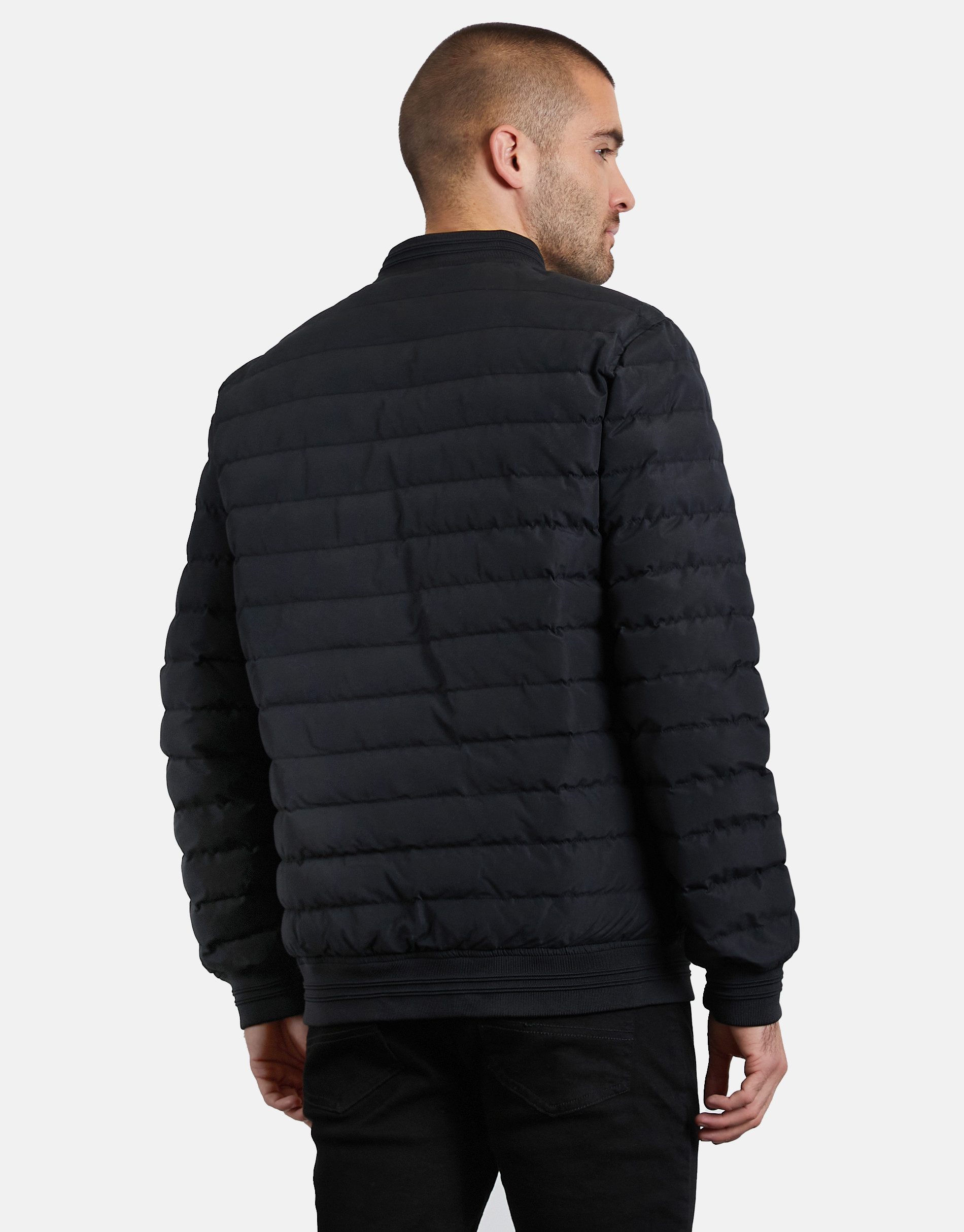 Threadbare Steppjacke THBJudge (1-St) mit elastischen Ärmel-Bündchen