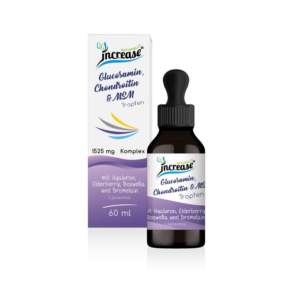 Liposomales Glucosamin, Chondroitin & MSM - 1525mg pro Tagesdosis Tropfen