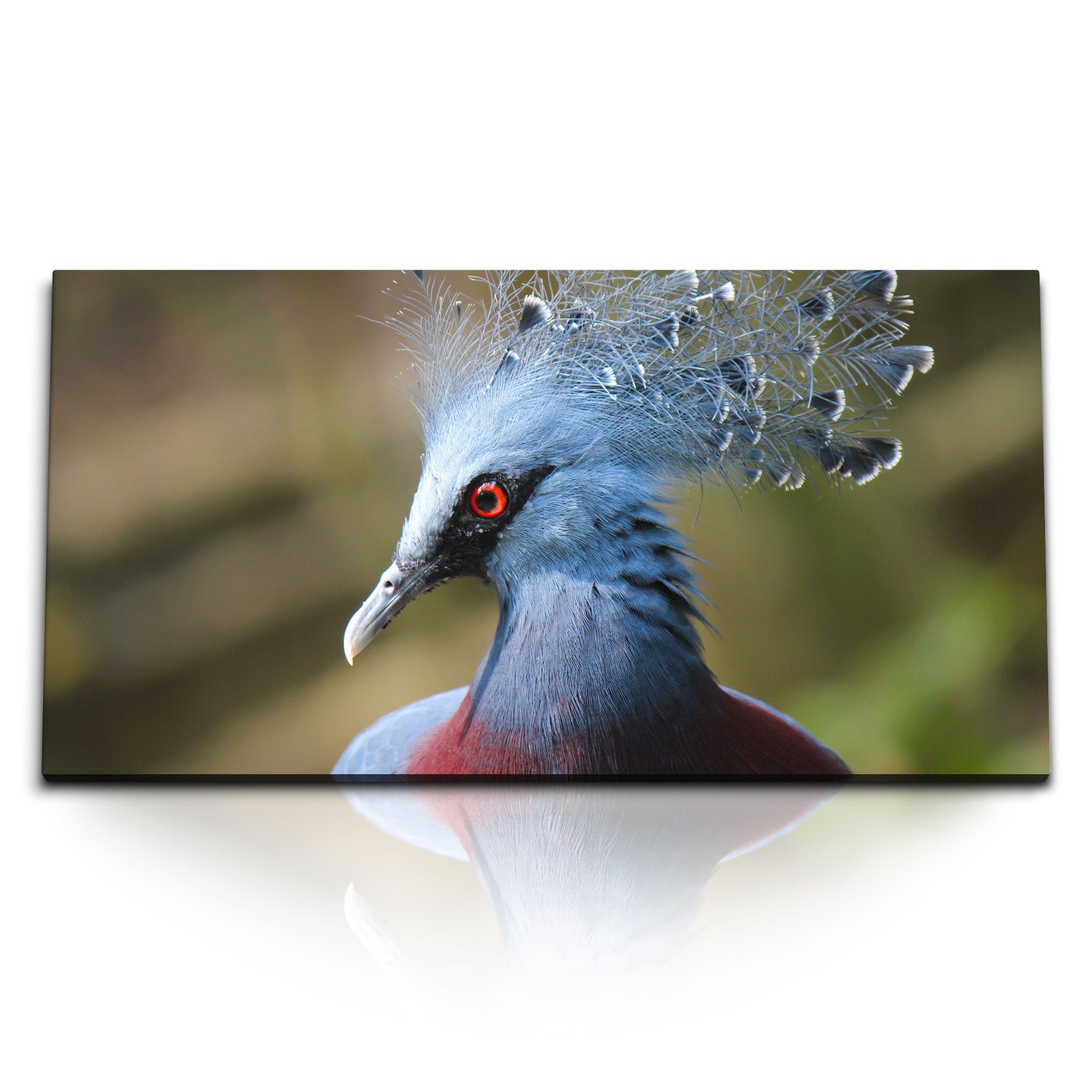 Leinwandbild Kunstdruck Bilder 120x60cm Blauer Pfau Vogel Tierfotografie Federkleid