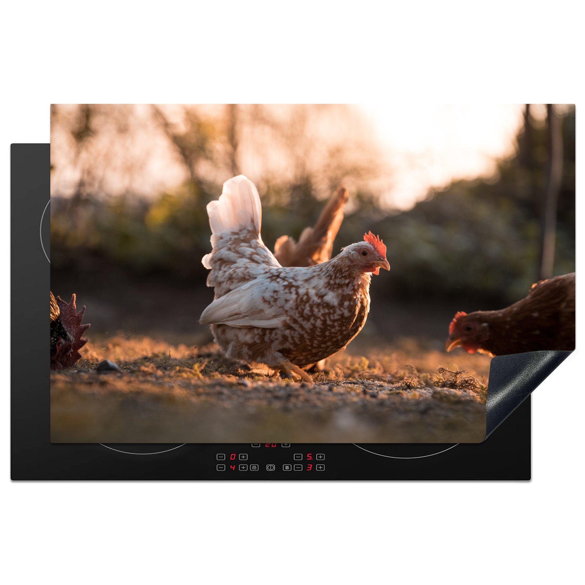 MuchoWow Herdblende-/Abdeckplatte Scharren der Hühner im weichen Licht, Vinyl, (1 tlg), 81x52 cm, Induktionskochfeld Schutz für die küche, Ceranfeldabdeckung