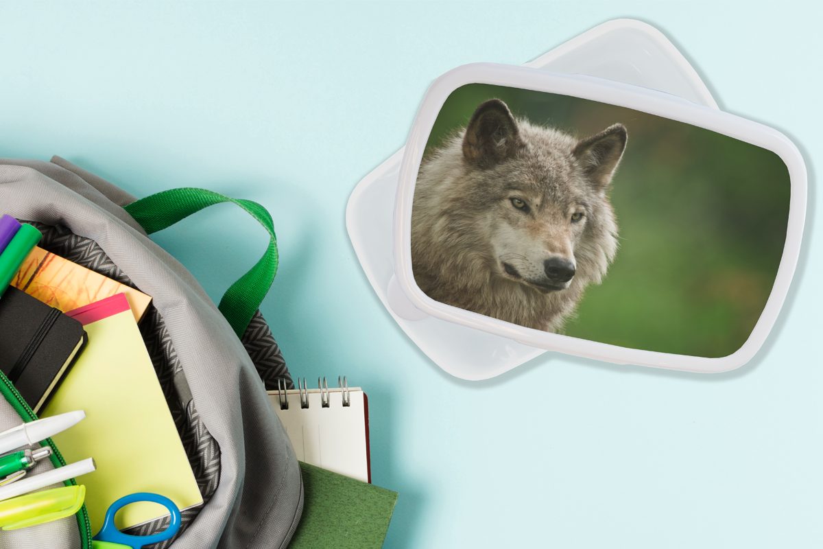 MuchoWow Grau für Wolf Erwachsene, - Mädchen - (2-tlg), weiß Brotdose, und für Jungs Lunchbox Fell, Kunststoff, Kinder Brotbox und