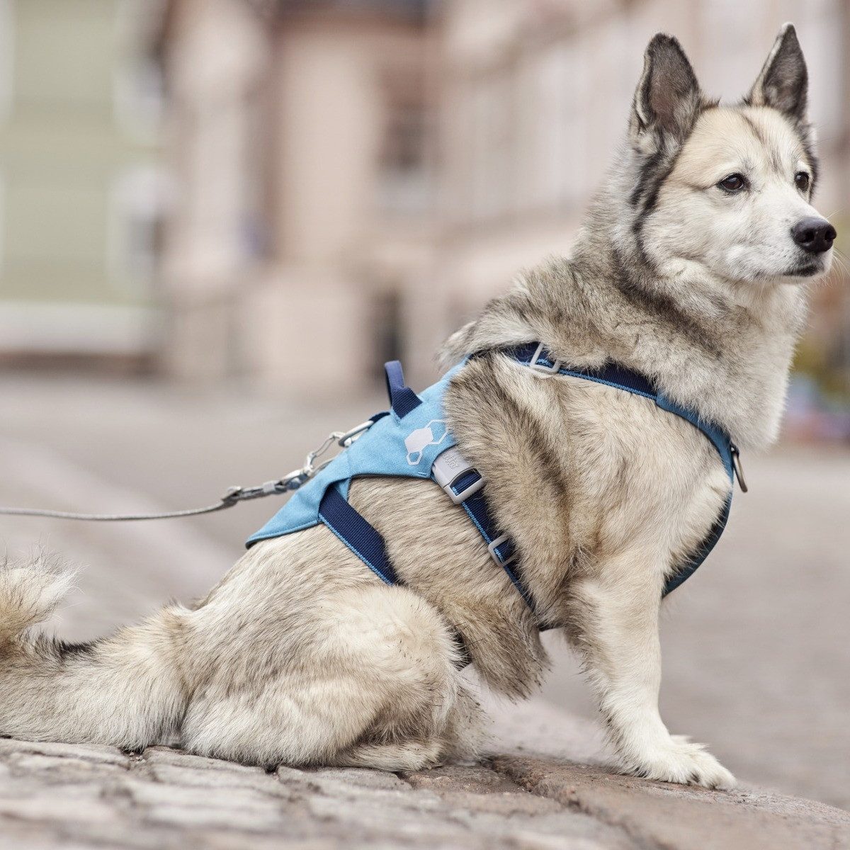 HURTTA Hunde-Geschirr Safeguard Geschirr ECO ocean günstig online kaufen