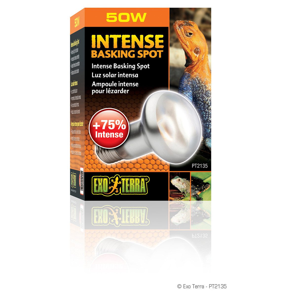Exo Terra Terrarienleuchte Intense Basking Spot günstig online kaufen