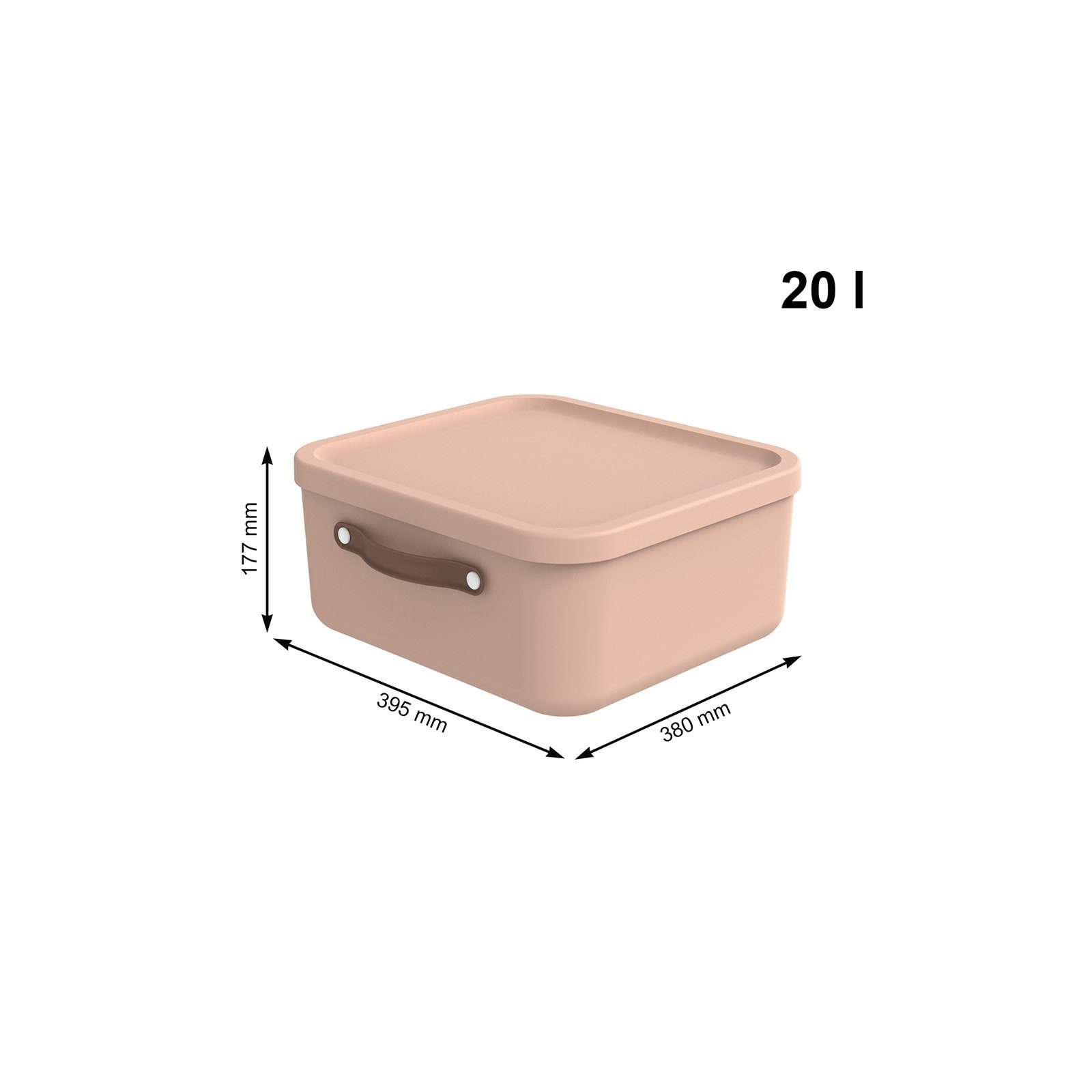 ROTHO Aufbewahrungsbox 2er-Set Kiste mit Deckel günstig online kaufen