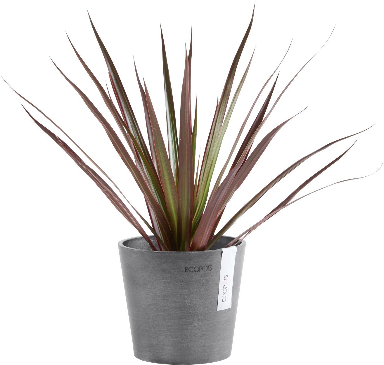 ECOPOTS Blumentopf AMSTERDAM BxTxH: cm Mini Grey, 13x13x11,4