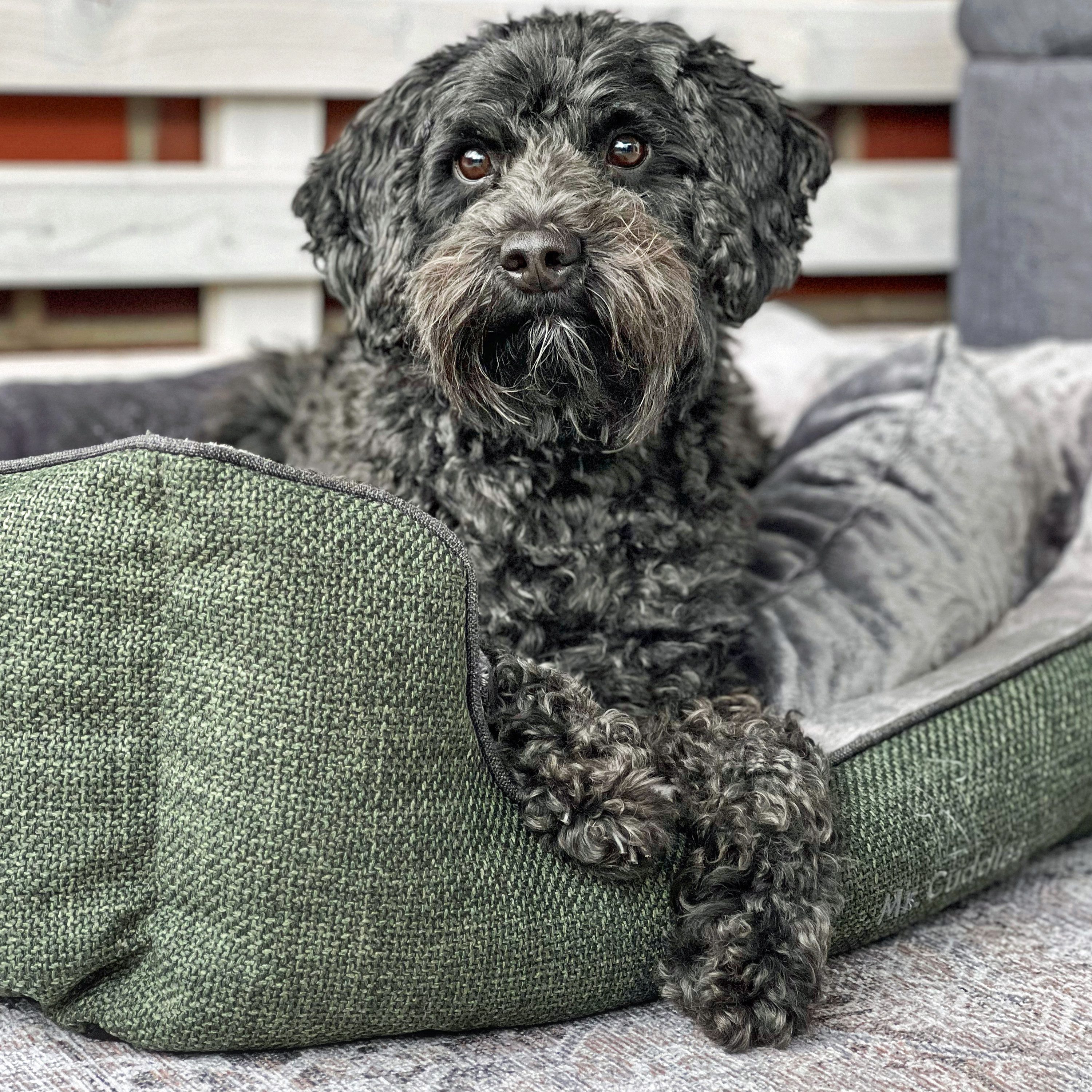 Mr. Cuddles Tierbett Pablo, Flauschiges Hundebett, günstig online kaufen