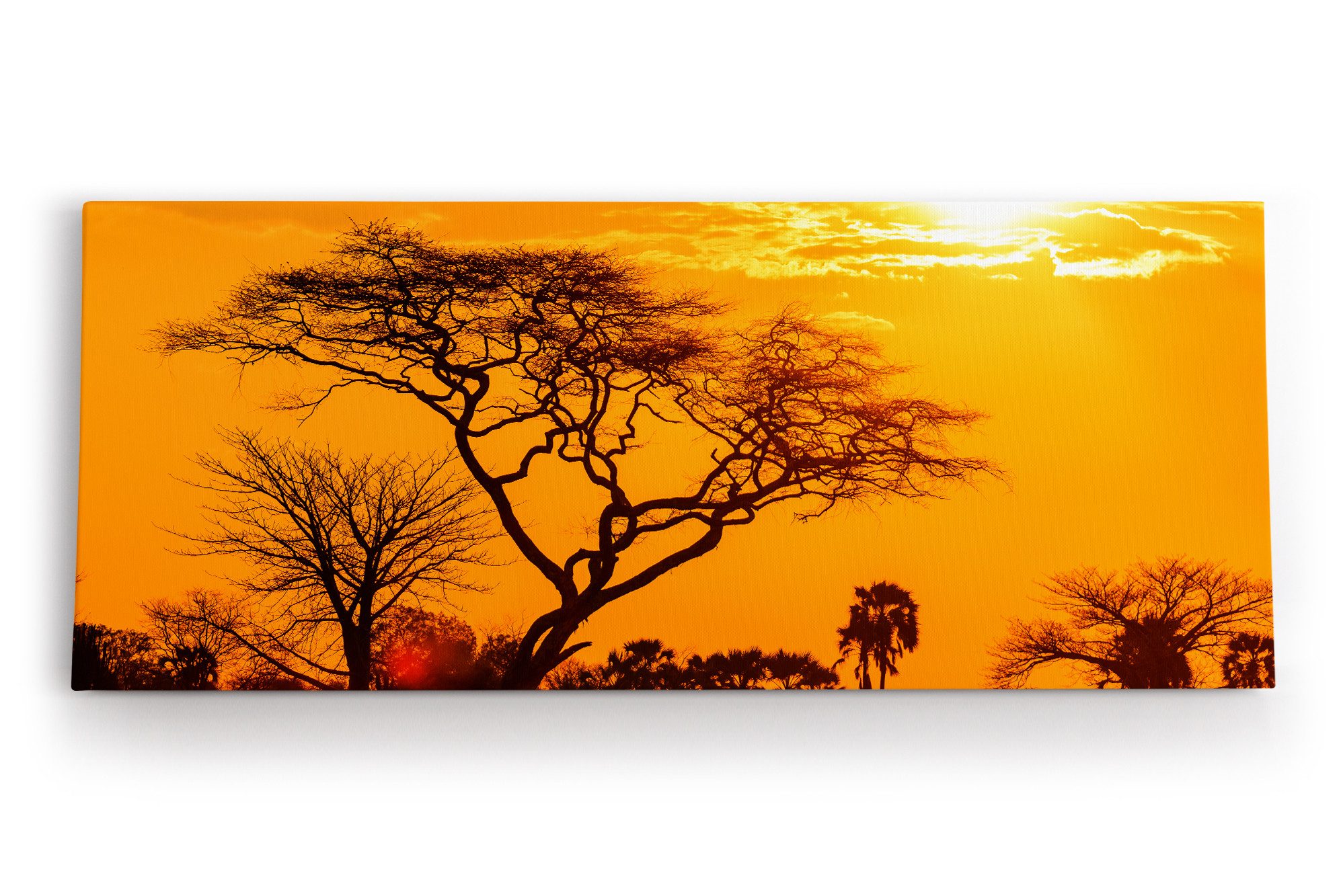 Leinwandbild Afrika Wildnis Sonnenuntergang Rot Burkea Bäume Sonne