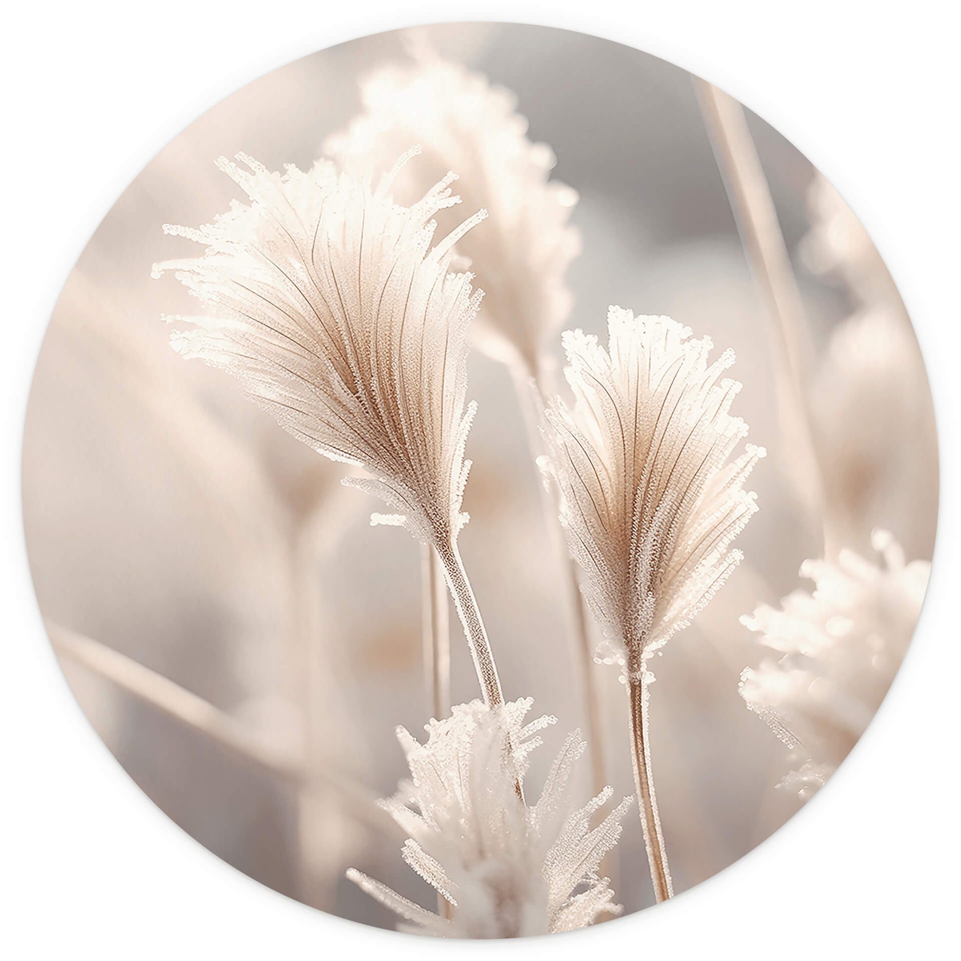 K&L Wall Art Fototapete selbstklebend Vliestapete Blumen Wandbild rund Vintage Natur Wanddeko, floral, bedruckt, selbstklebende Tapete