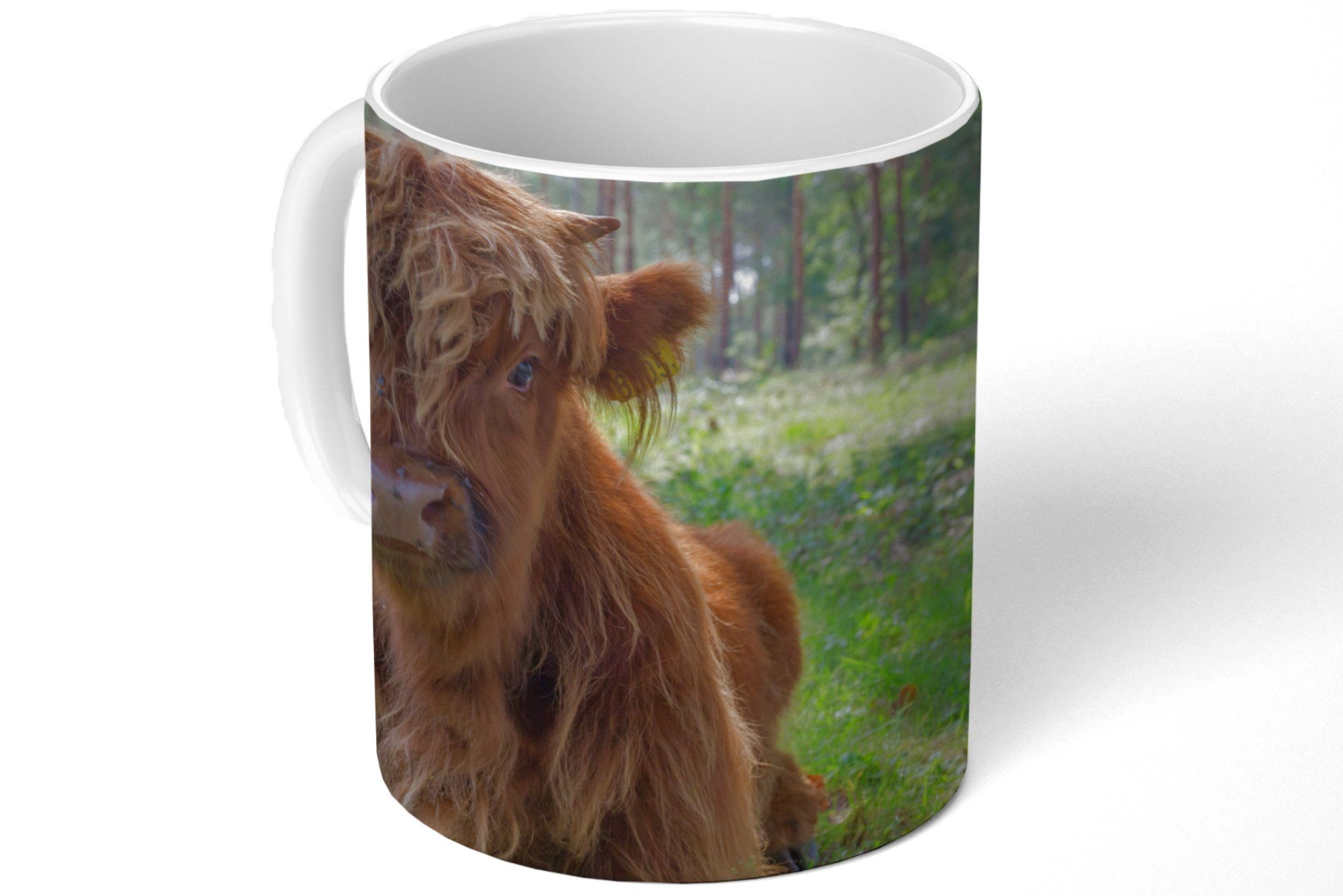 MuchoWow Schottischer Keramik, Teetasse, Kröte Teetasse, Kaffeetassen, Geschenk - Tiere, Tasse - Becher, Highlander