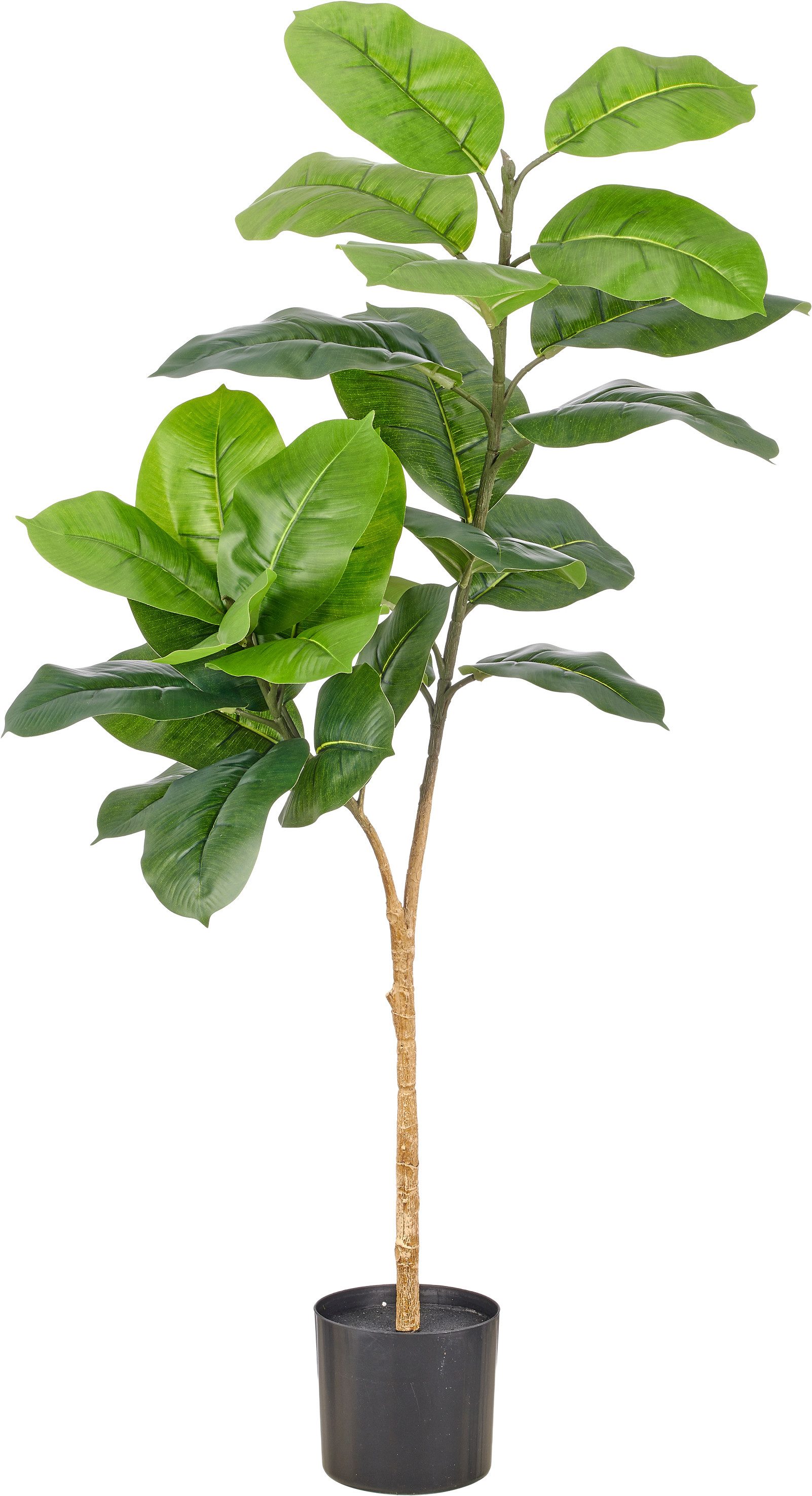 Kunstpflanze Ficus, Creativ green, Höhe 100 cm, mit naturgetreuem Blattwerk