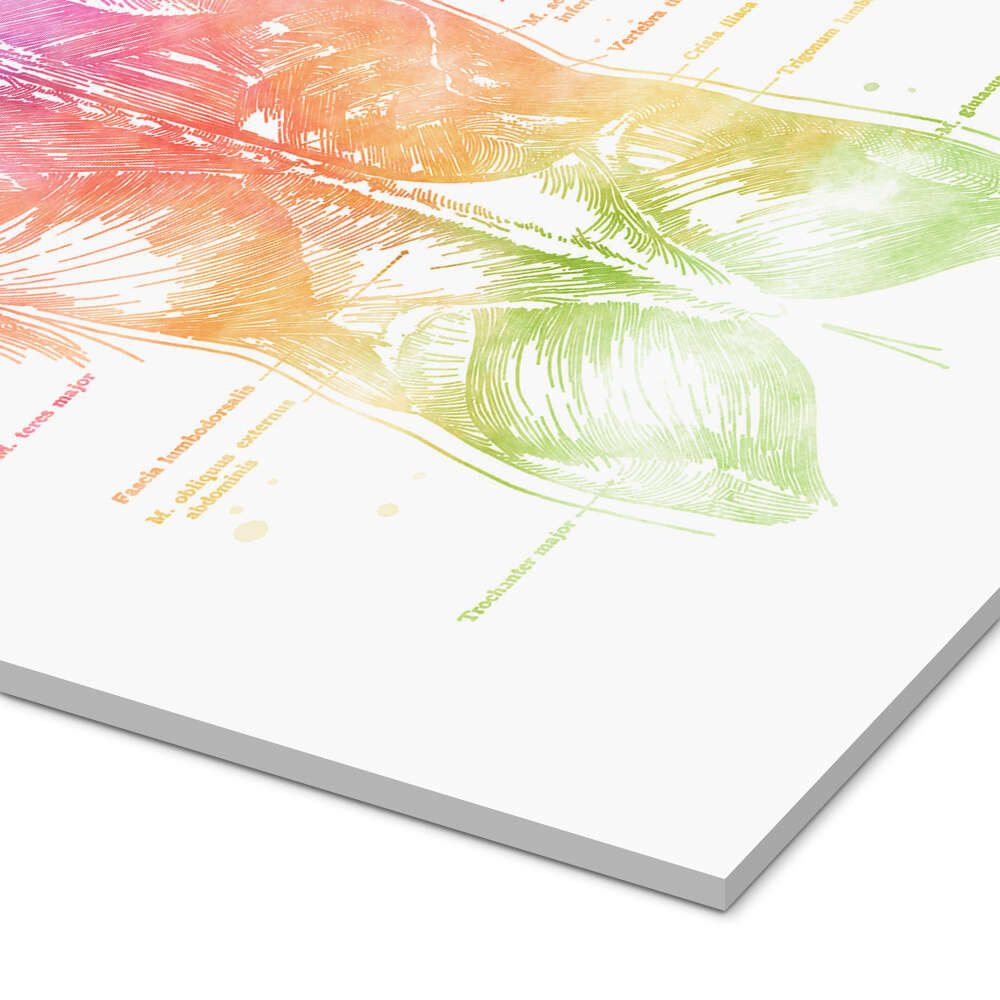 Posterlounge Wandbild Regenbogen-Rücken, beschriftet, Mod Pop Deco, erhältlich als Poster, Leinwandbild, Wandsticker oder Acrylglasbild