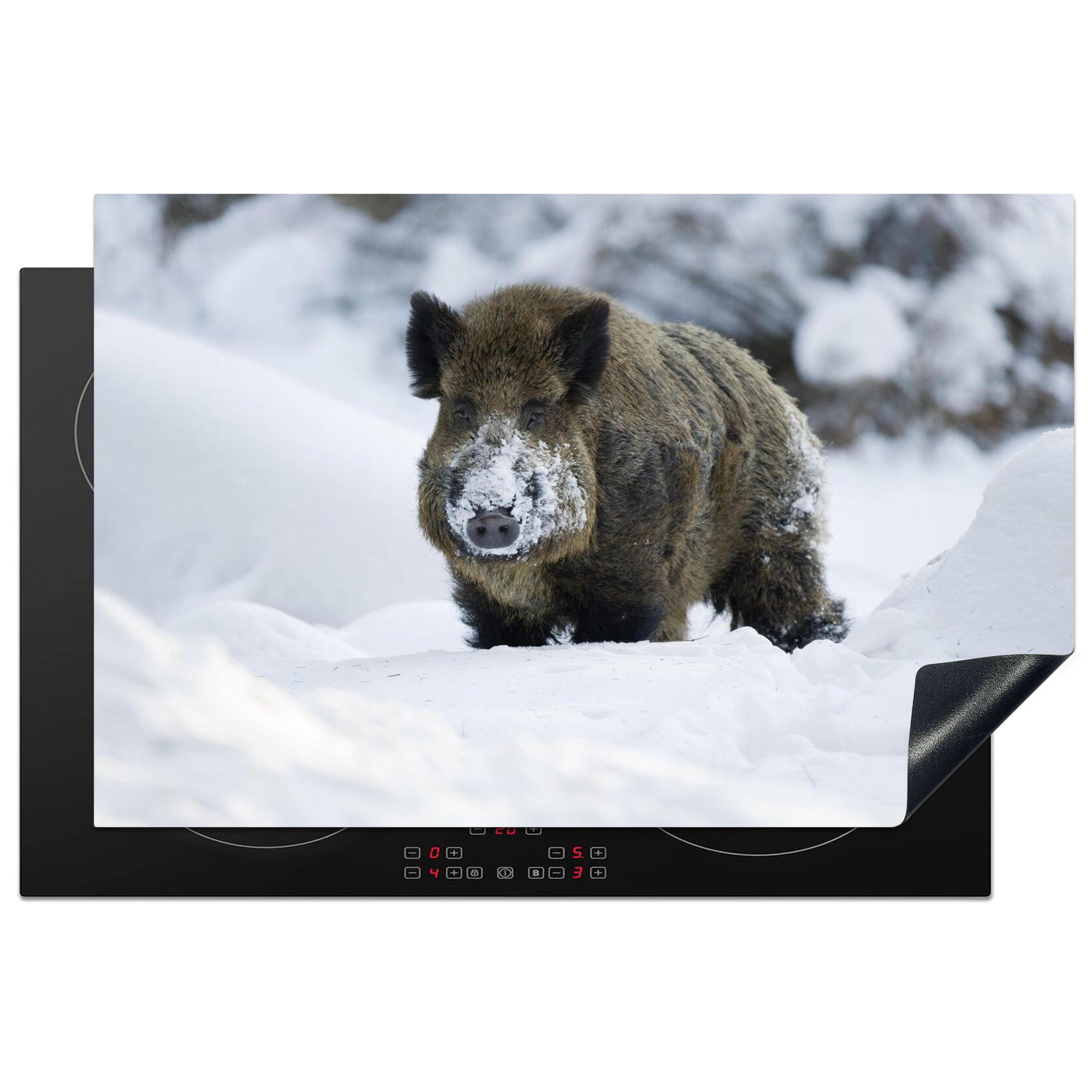 MuchoWow Herdblende-/Abdeckplatte Wildschwein - Schnee - Tier, Vinyl, (1 tlg), 81x52 cm, Induktionskochfeld Schutz für die küche, Ceranfeldabdeckung