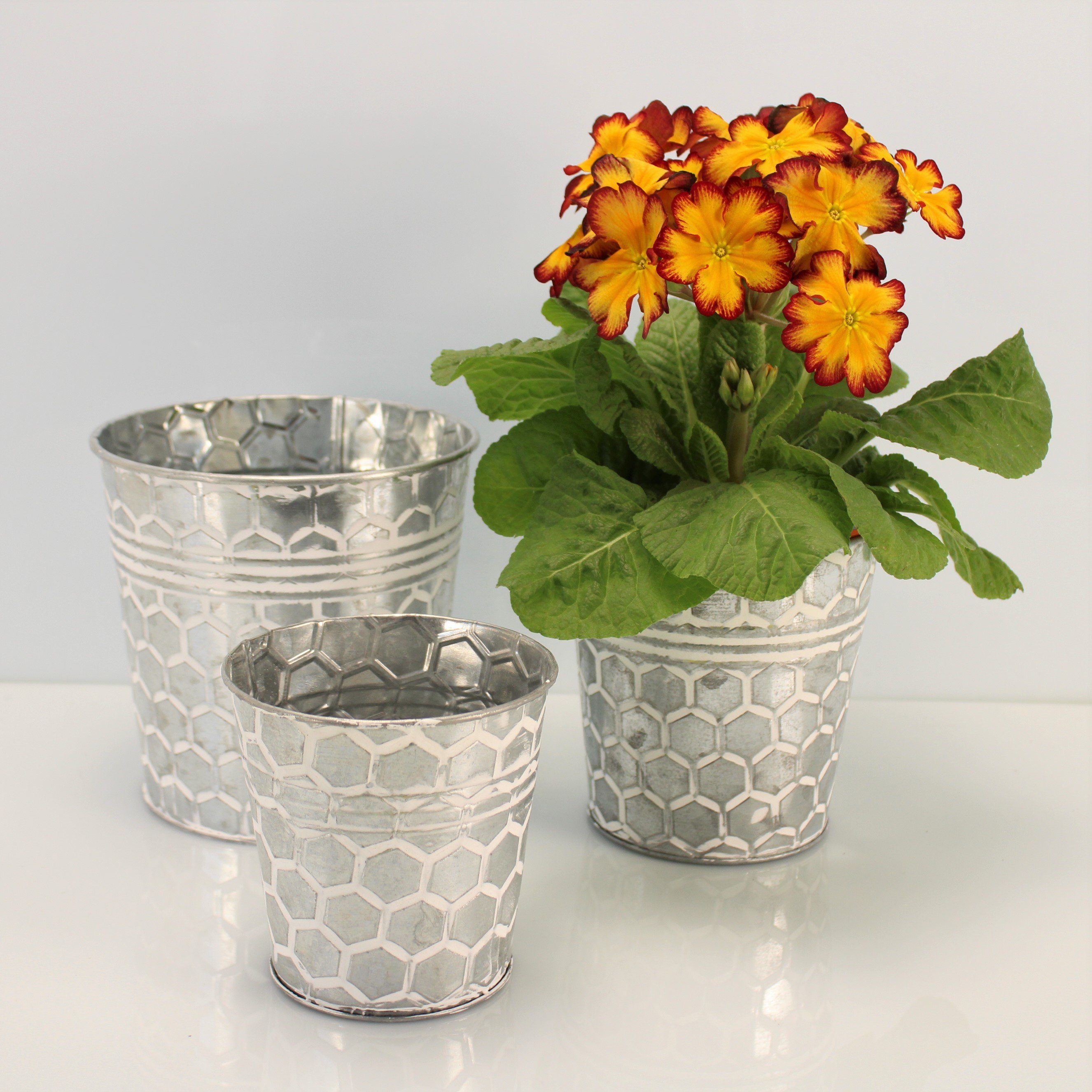 Online-Fuchs Blumentopf Runde silberne Blumentöpfe aus günstig online kaufen