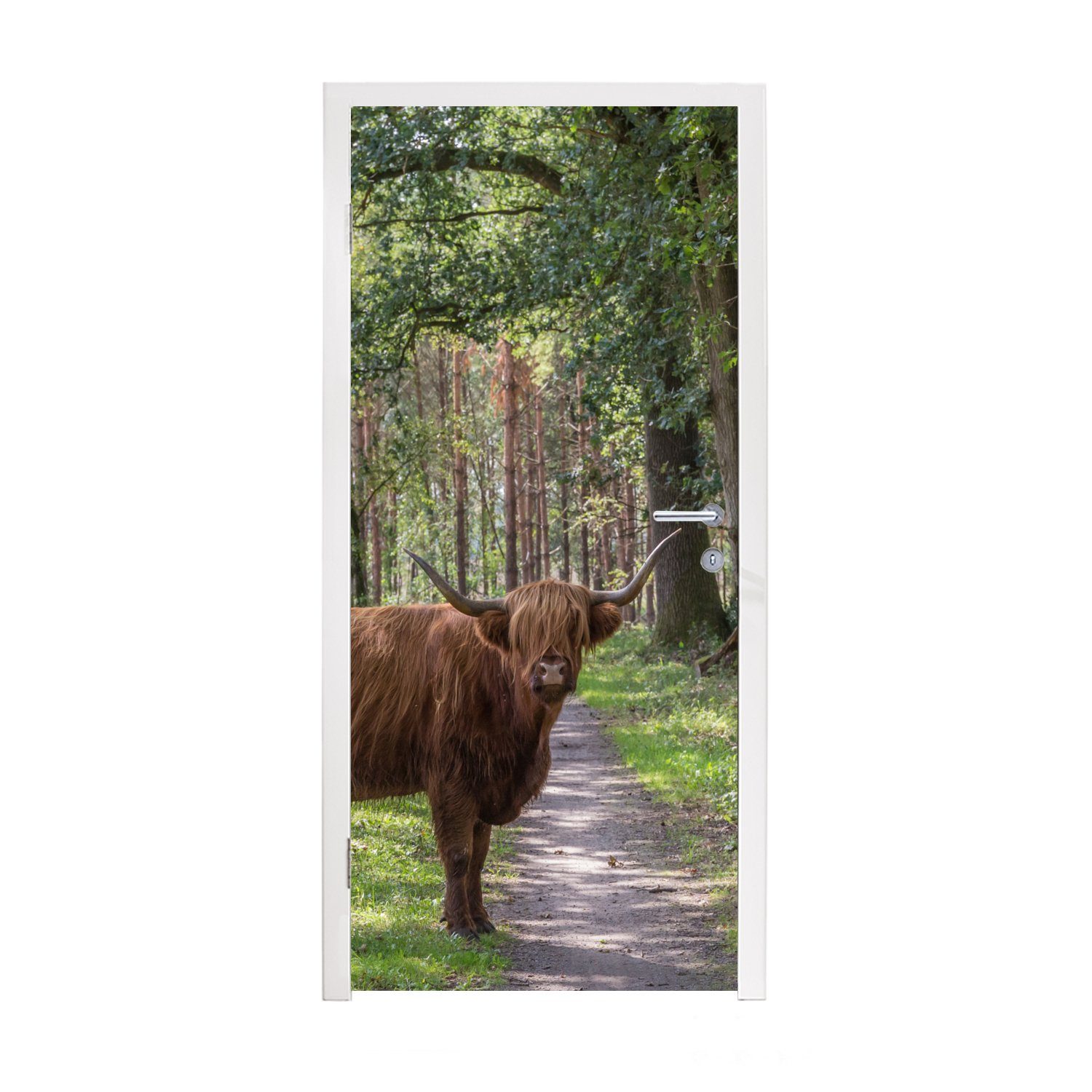 MuchoWow Türtapete Schottischer Highlander - Kröte - Baum, Matt, bedruckt, (1 St), Fototapete für Tür, Türaufkleber, 75x205 cm