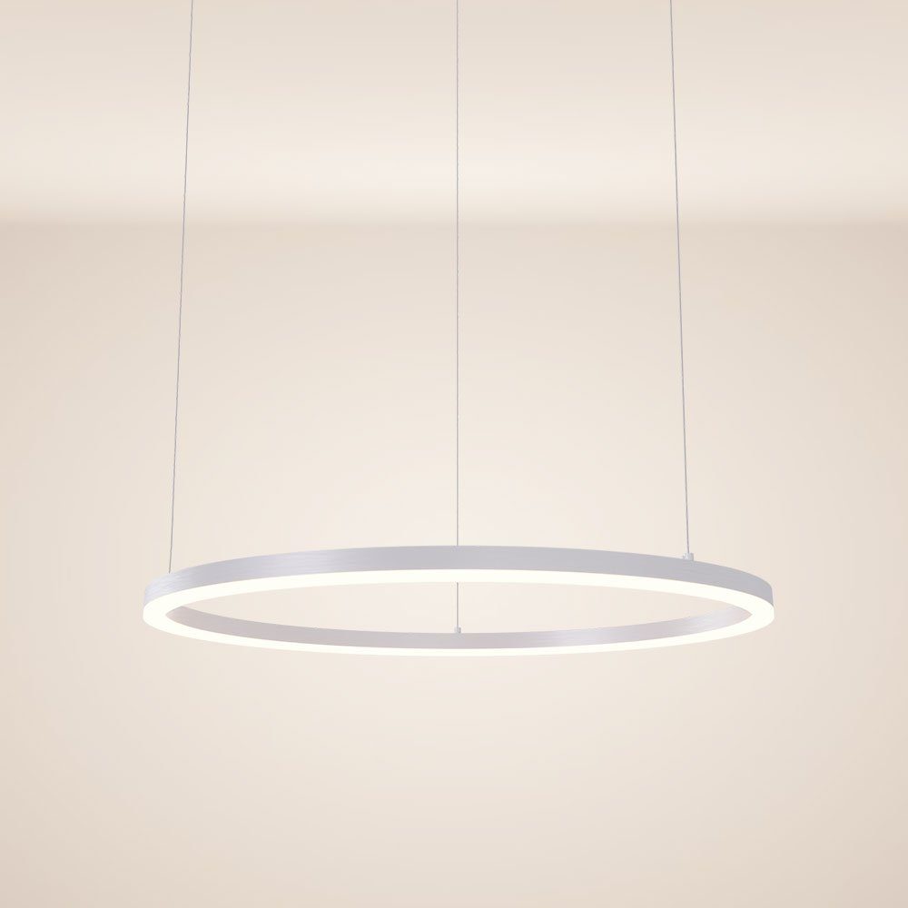 s.luce Pendelleuchte LED Pendelleuchte Ring 80 günstig online kaufen