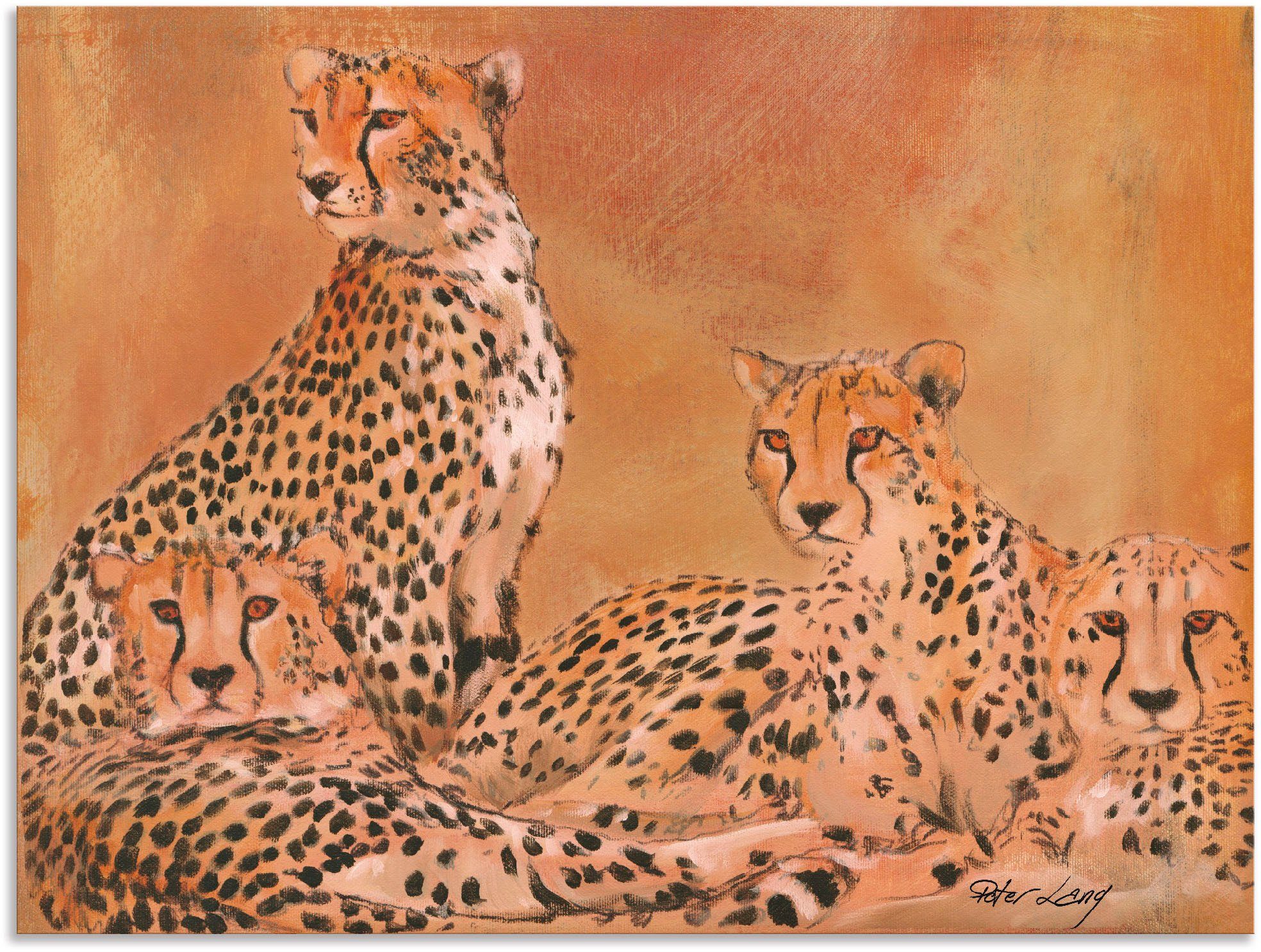 Geparden, Artland St), Wildtiere Alubild, versch. als Leinwandbild, (1 Wandbild Größen Poster in Wandaufkleber oder