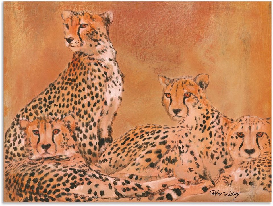 Artland Wandbild Geparden, Wildtiere (1 St), als Alubild, Leinwandbild,  Wandaufkleber oder Poster in versch. Größen